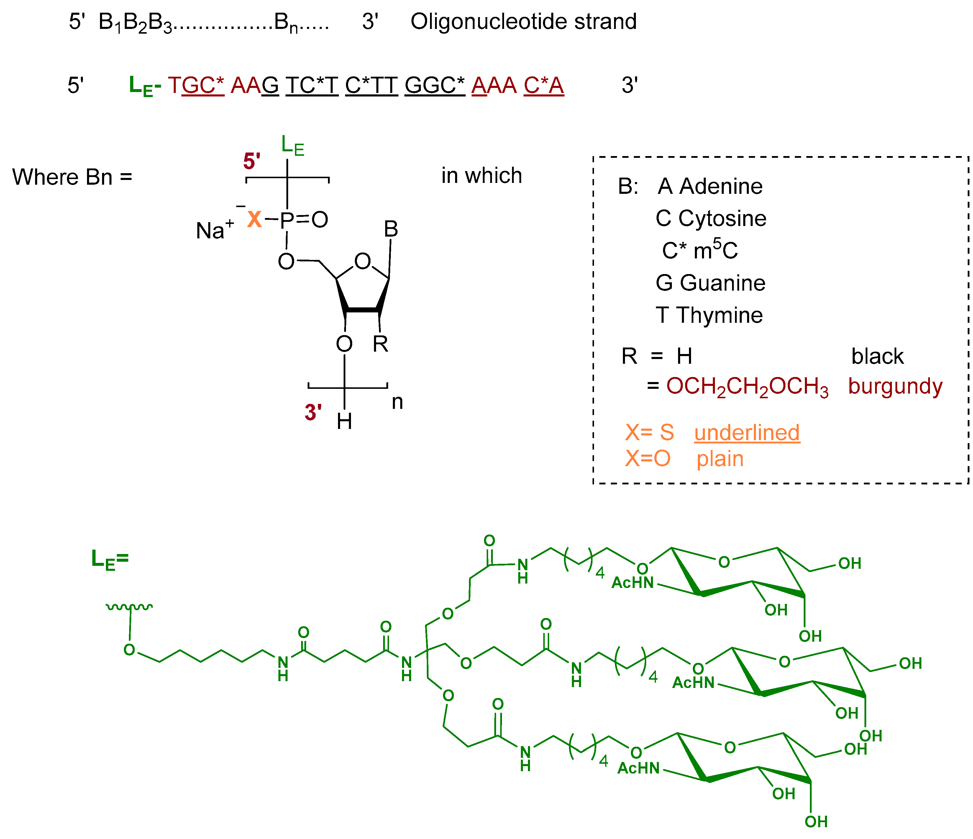 Pharmaceuticals 19 00244 g003 Pharmaceuticals 19 00244 g003