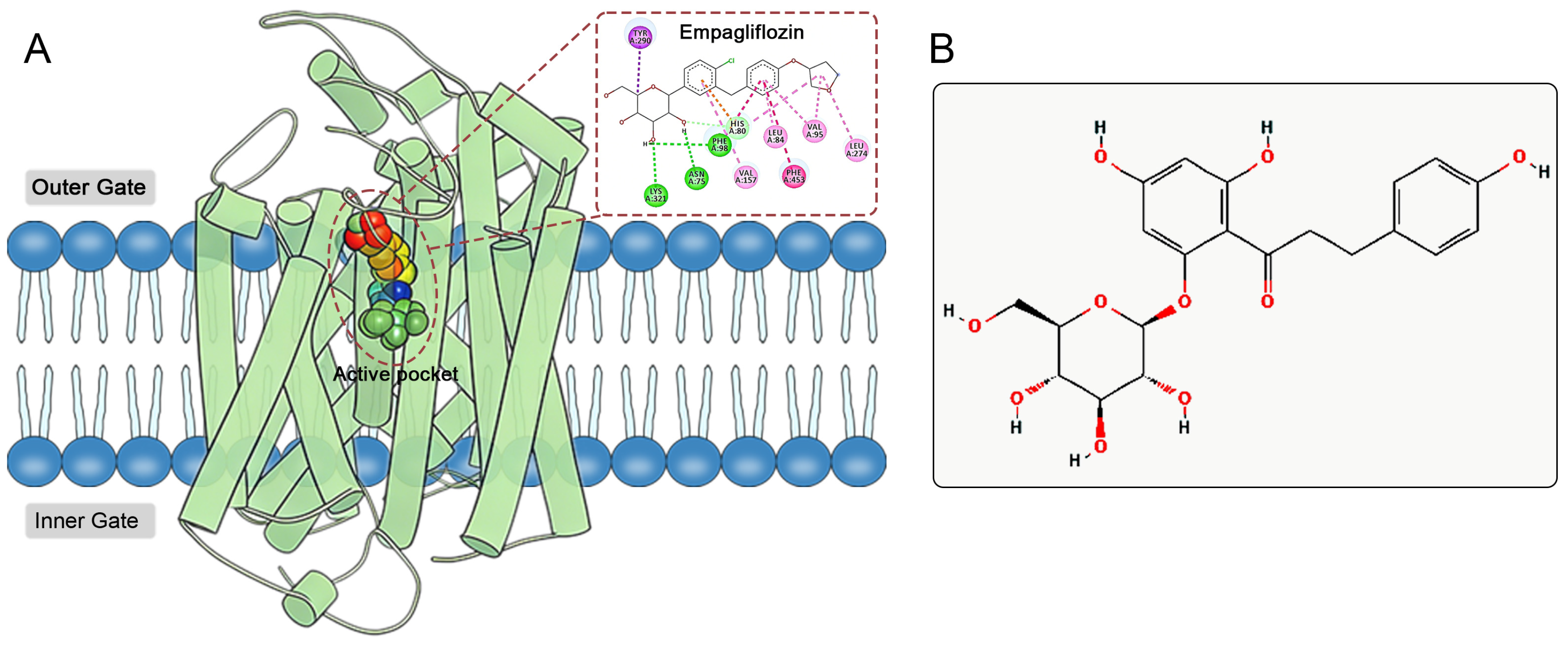 Pharmaceuticals 19 00246 g001 Pharmaceuticals 19 00246 g001