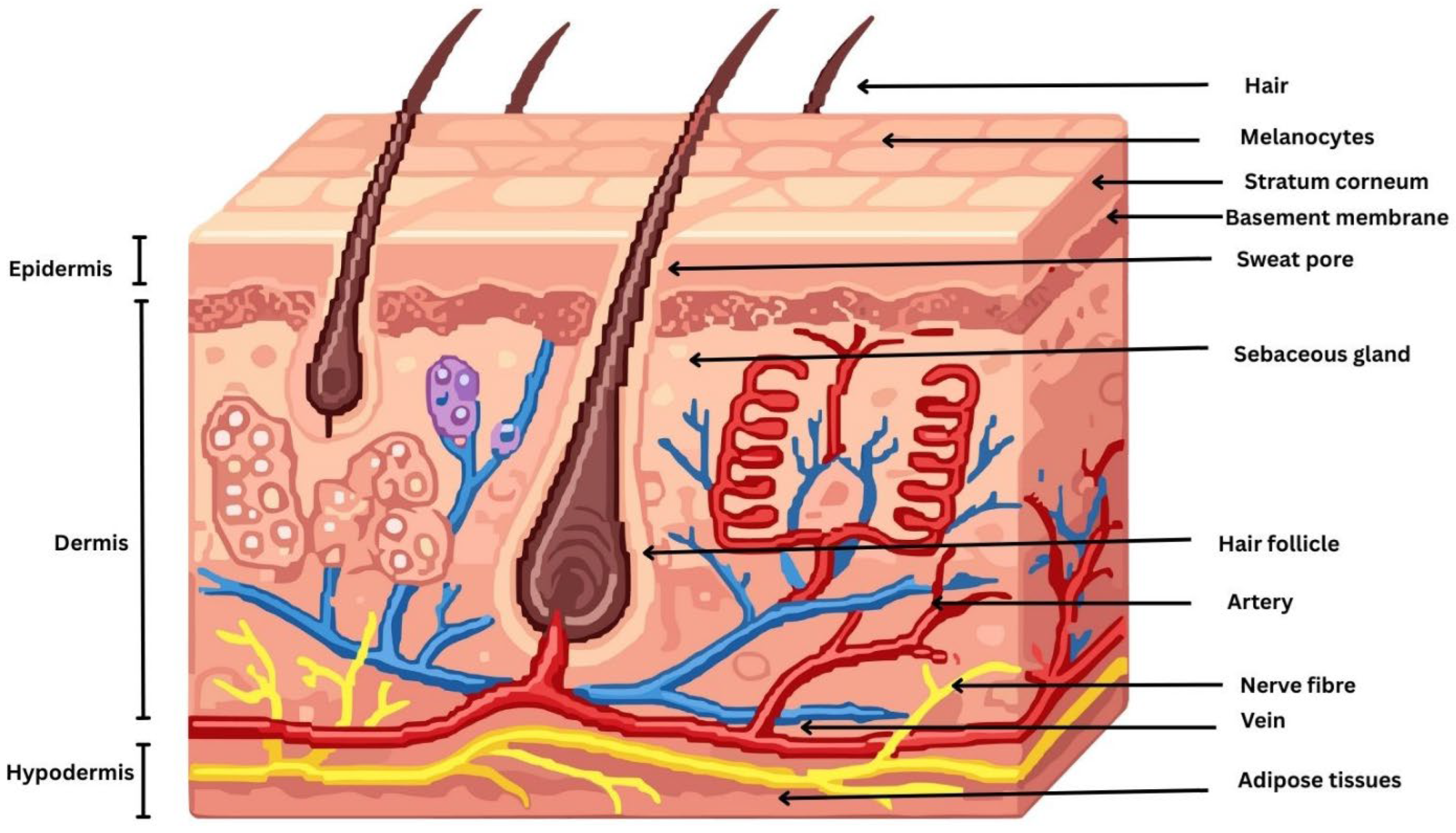Pharmaceuticals 19 00247 g001