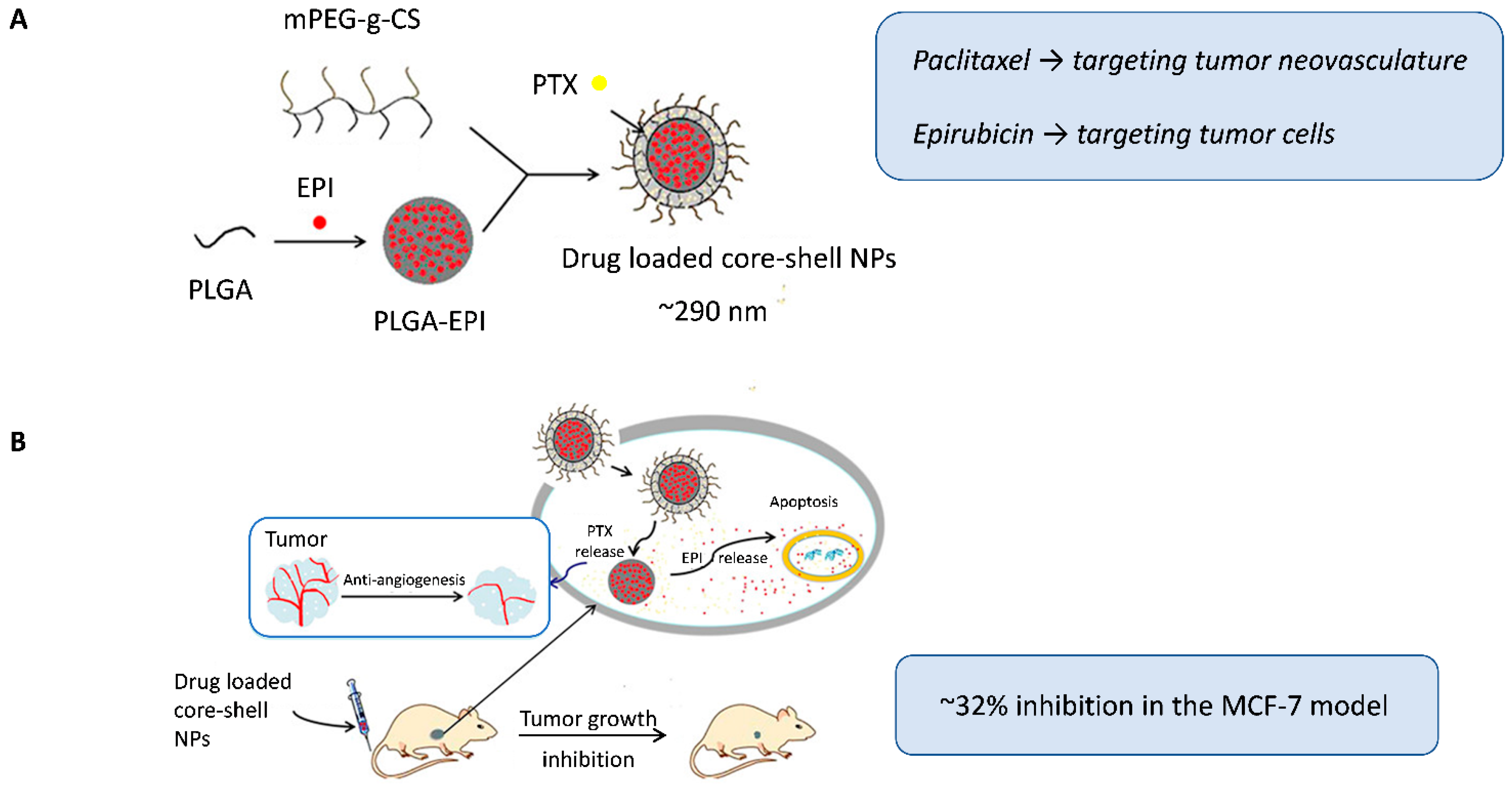 Pharmaceuticals 19 00248 g002 Pharmaceuticals 19 00248 g002