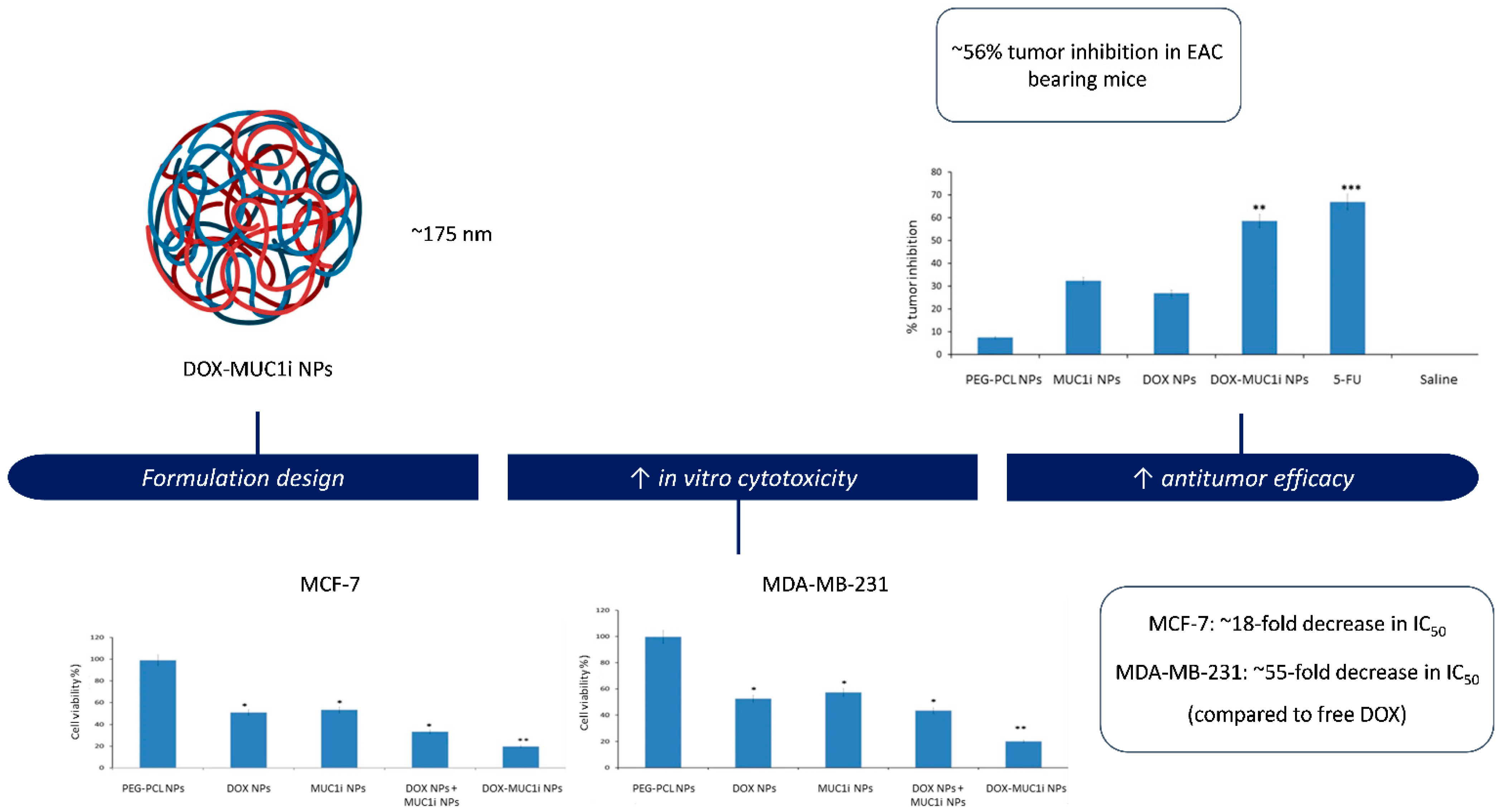 Pharmaceuticals 19 00248 g003 Pharmaceuticals 19 00248 g003