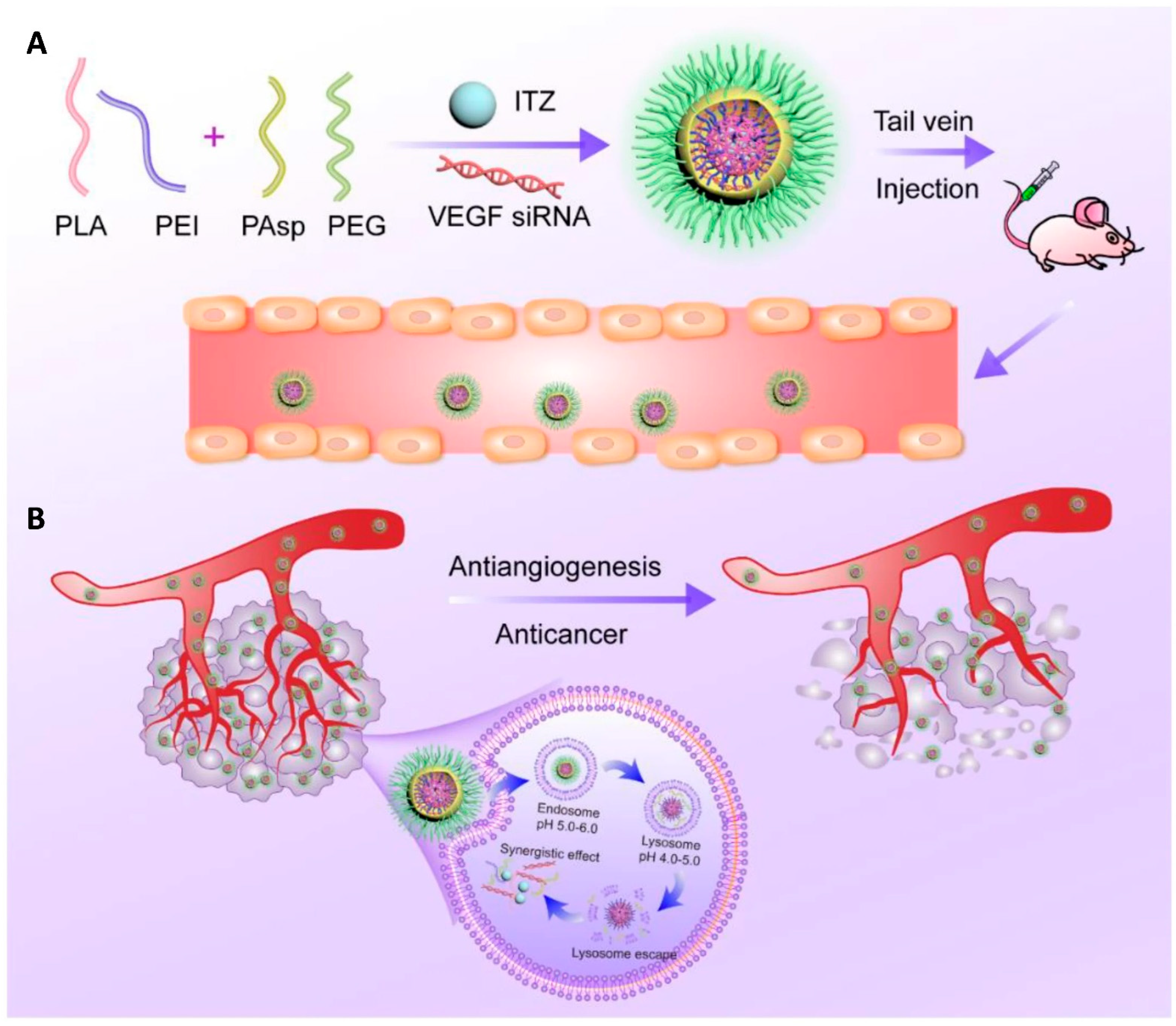 Pharmaceuticals 19 00248 g004 Pharmaceuticals 19 00248 g004