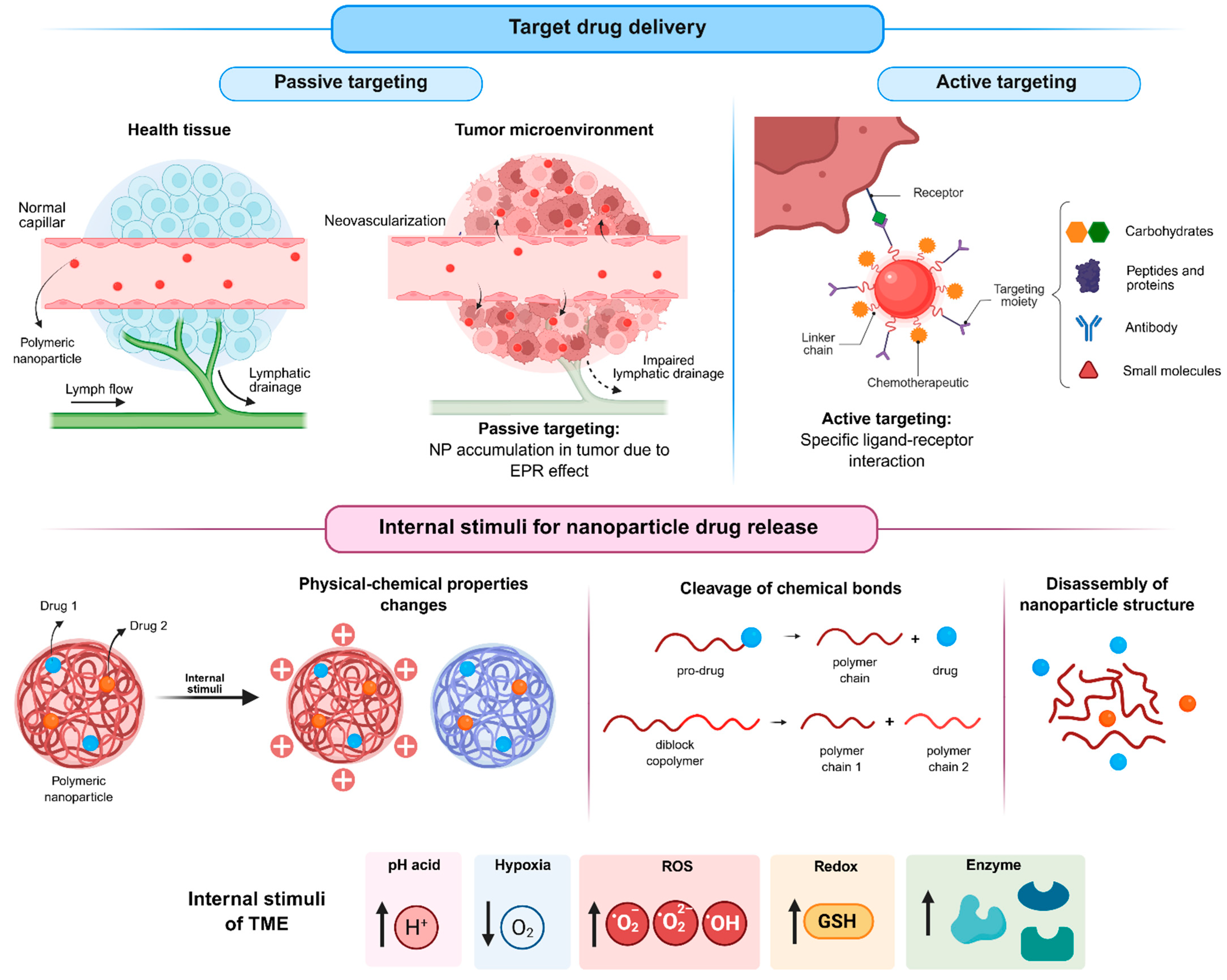 Pharmaceuticals 19 00248 g005 Pharmaceuticals 19 00248 g005