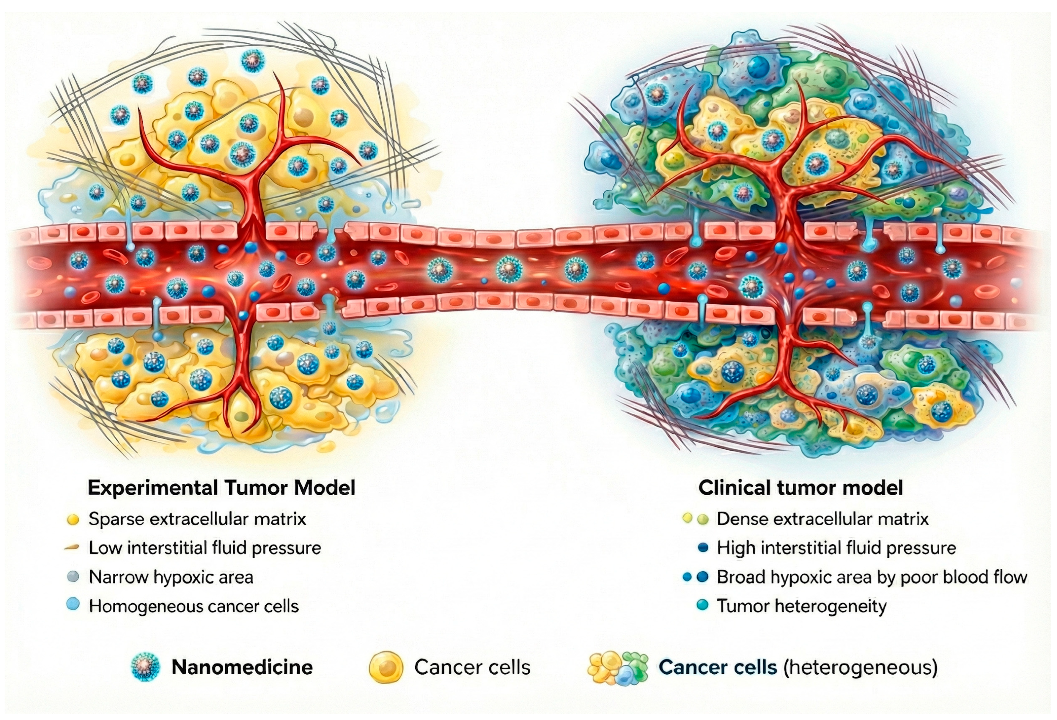 Pharmaceuticals 19 00248 g006 Pharmaceuticals 19 00248 g006