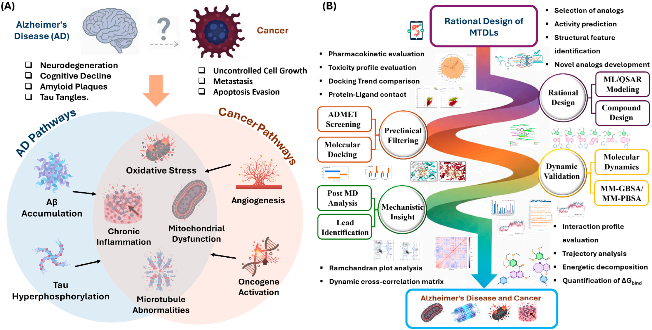 Pharmaceuticals 19 00249 g001