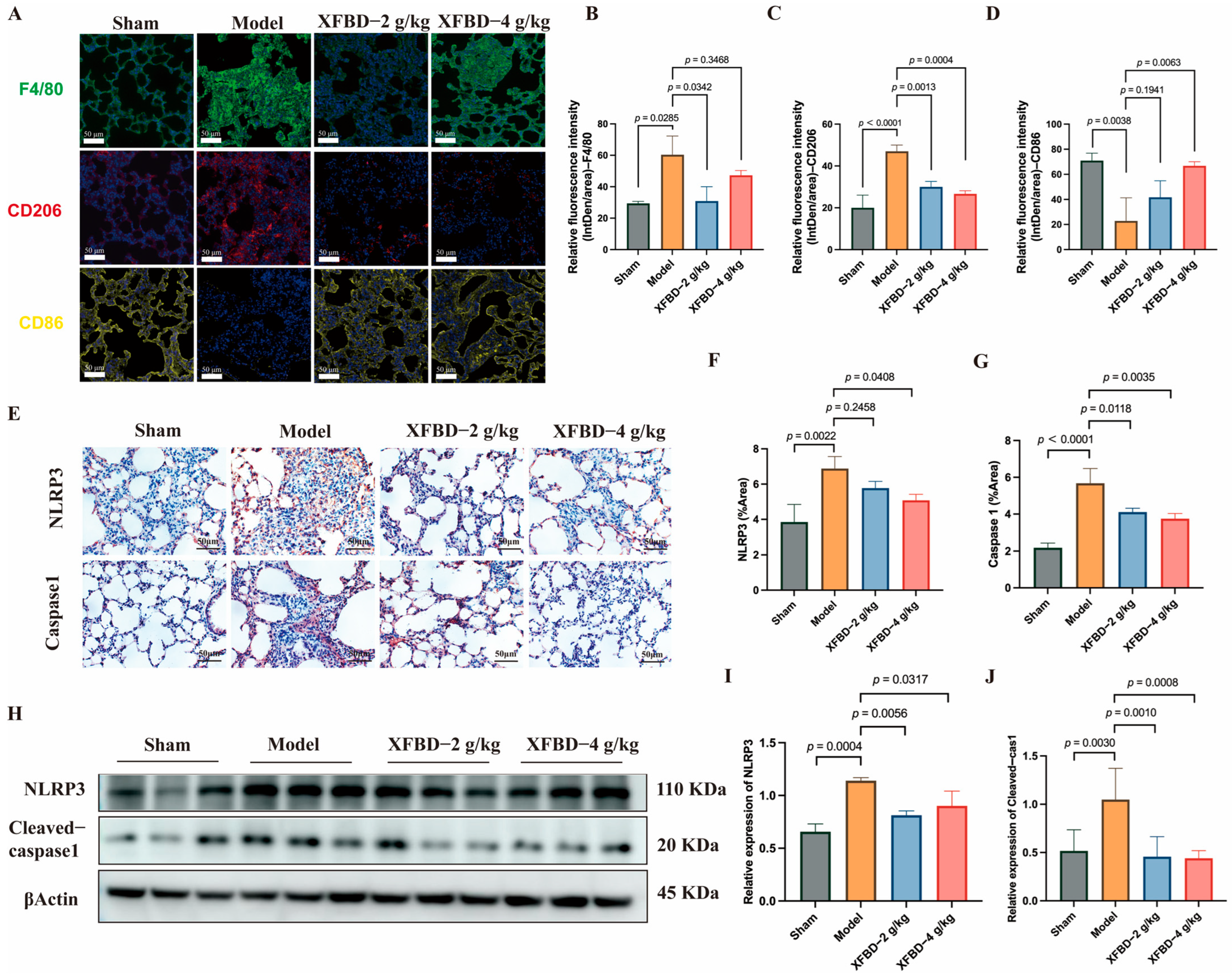 Pharmaceuticals 19 00253 g002