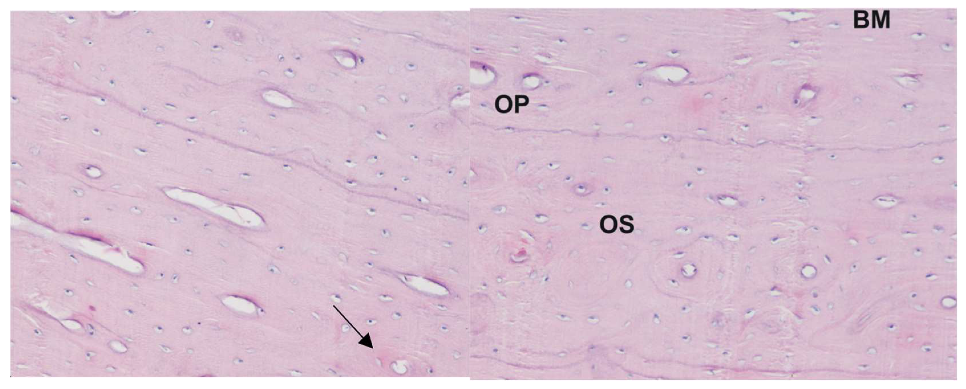 Pharmaceuticals 19 00256 g001