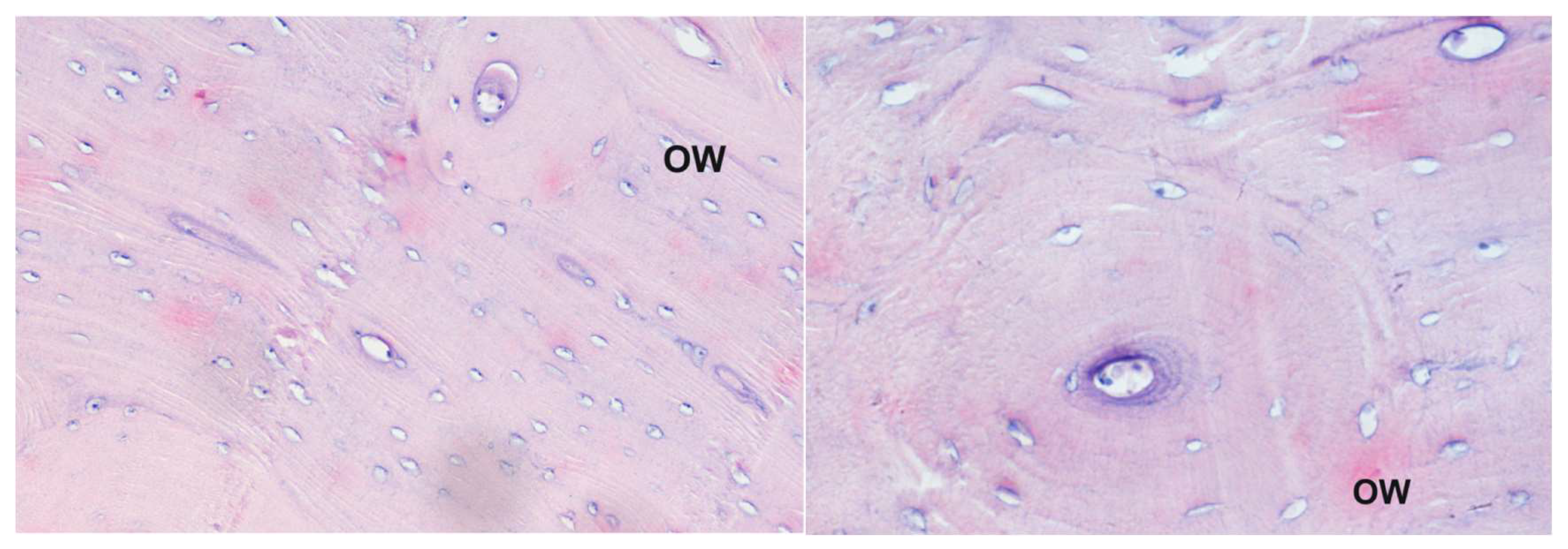 Pharmaceuticals 19 00256 g002