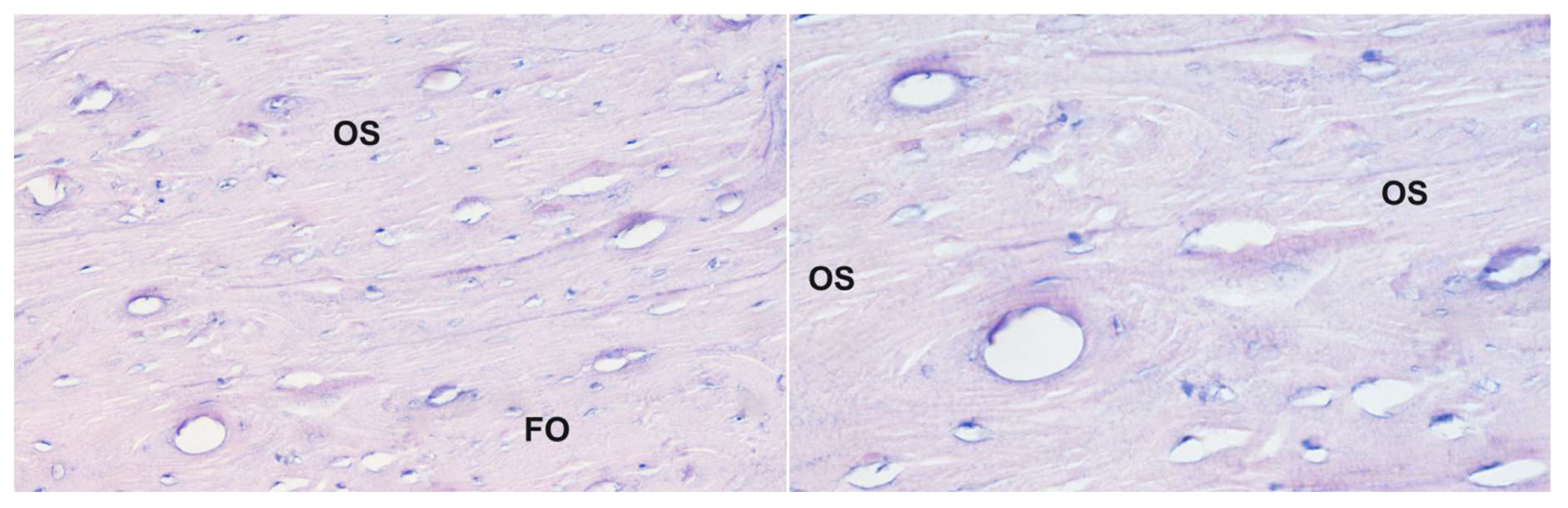 Pharmaceuticals 19 00256 g003