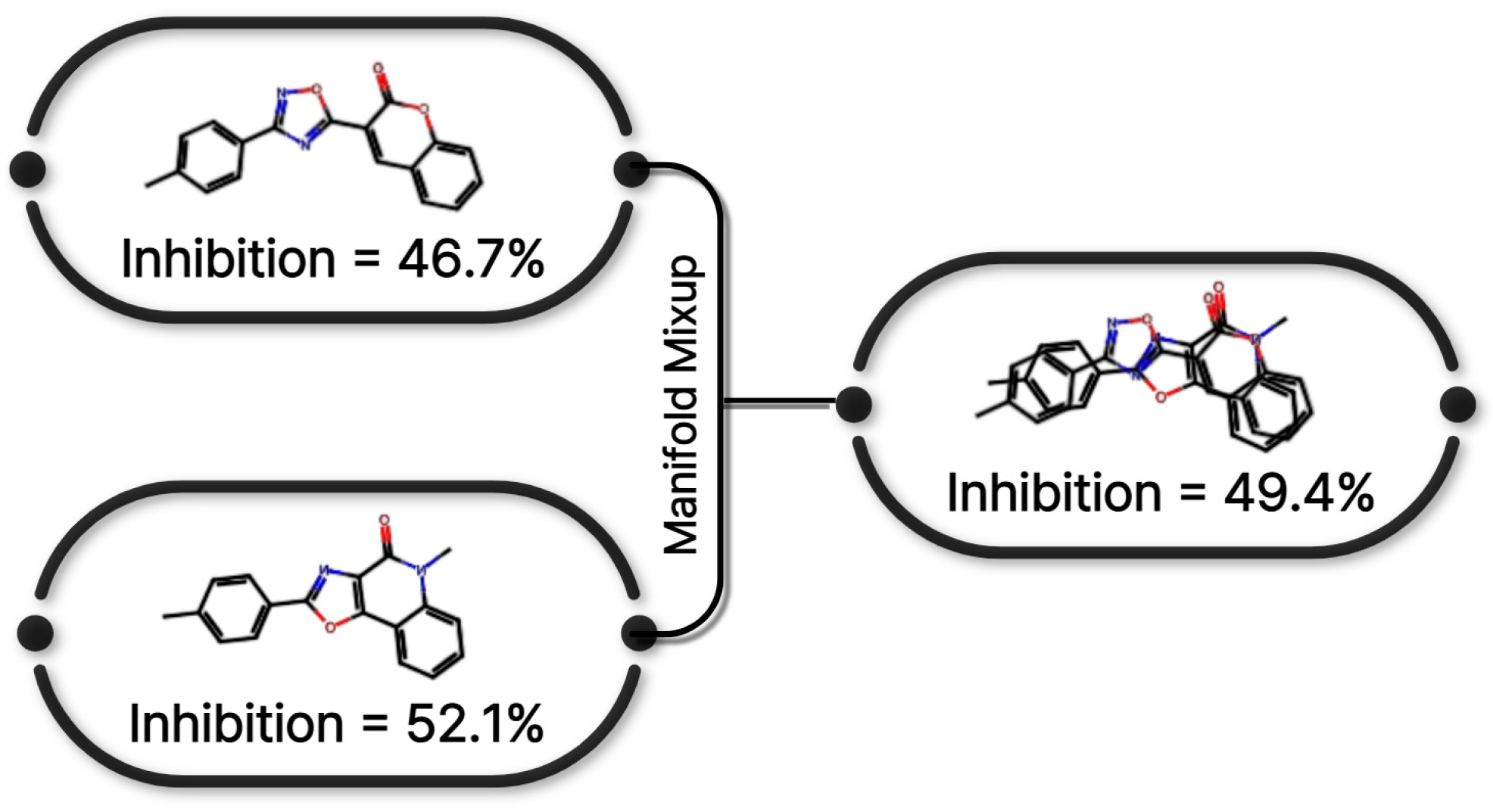 Pharmaceuticals 19 00258 g008