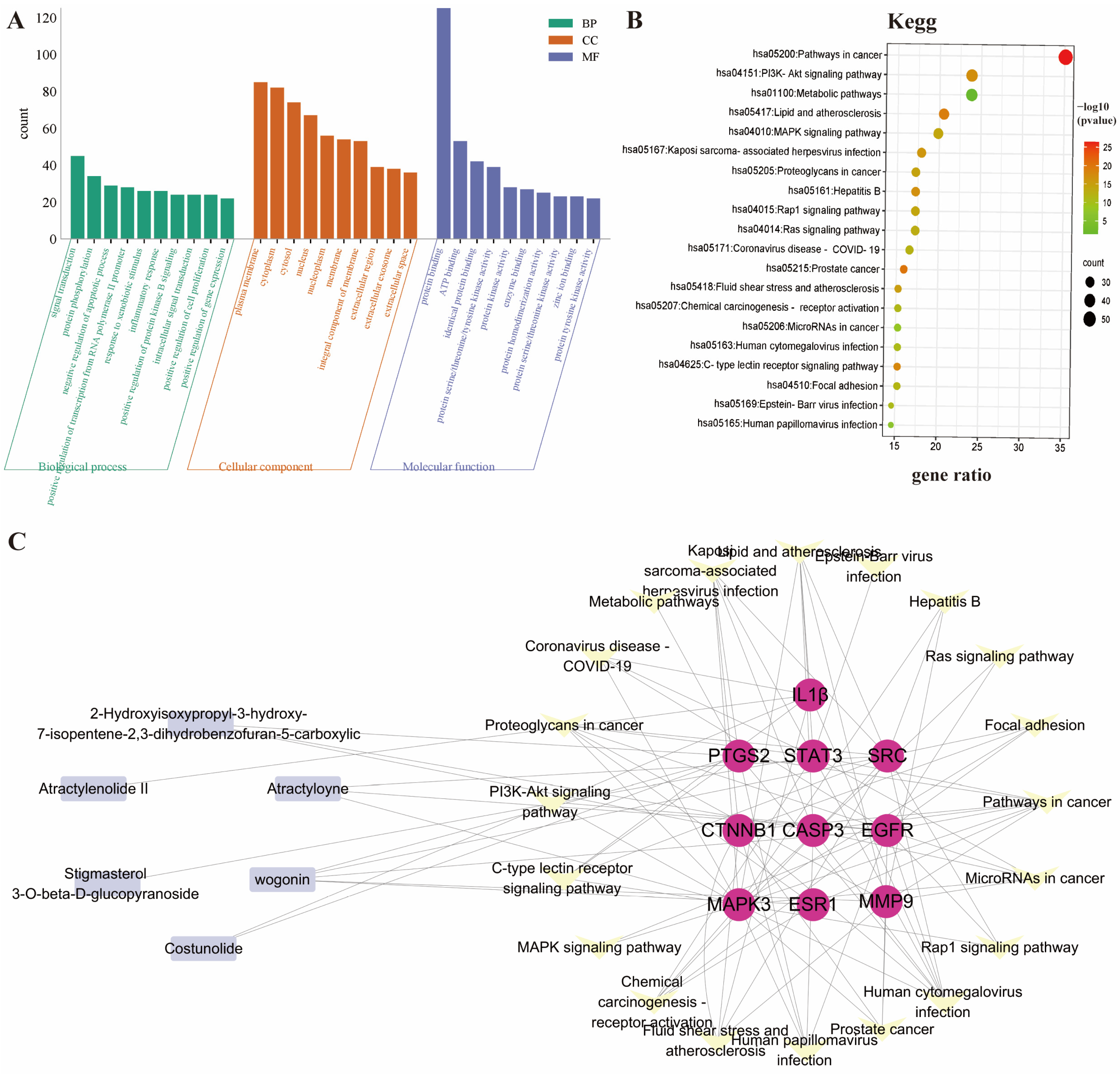 Pharmaceuticals 19 00262 g005