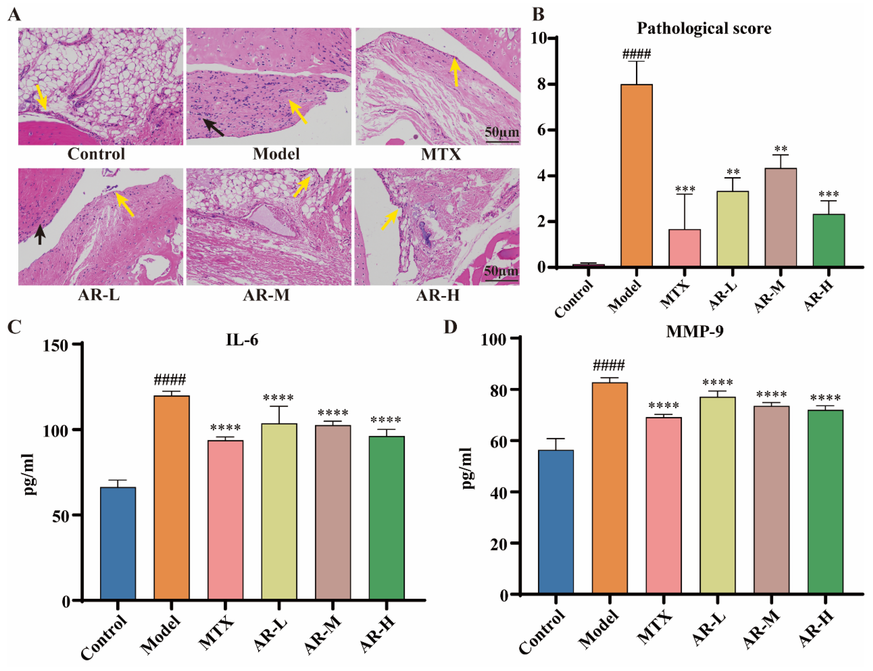 Pharmaceuticals 19 00262 g008