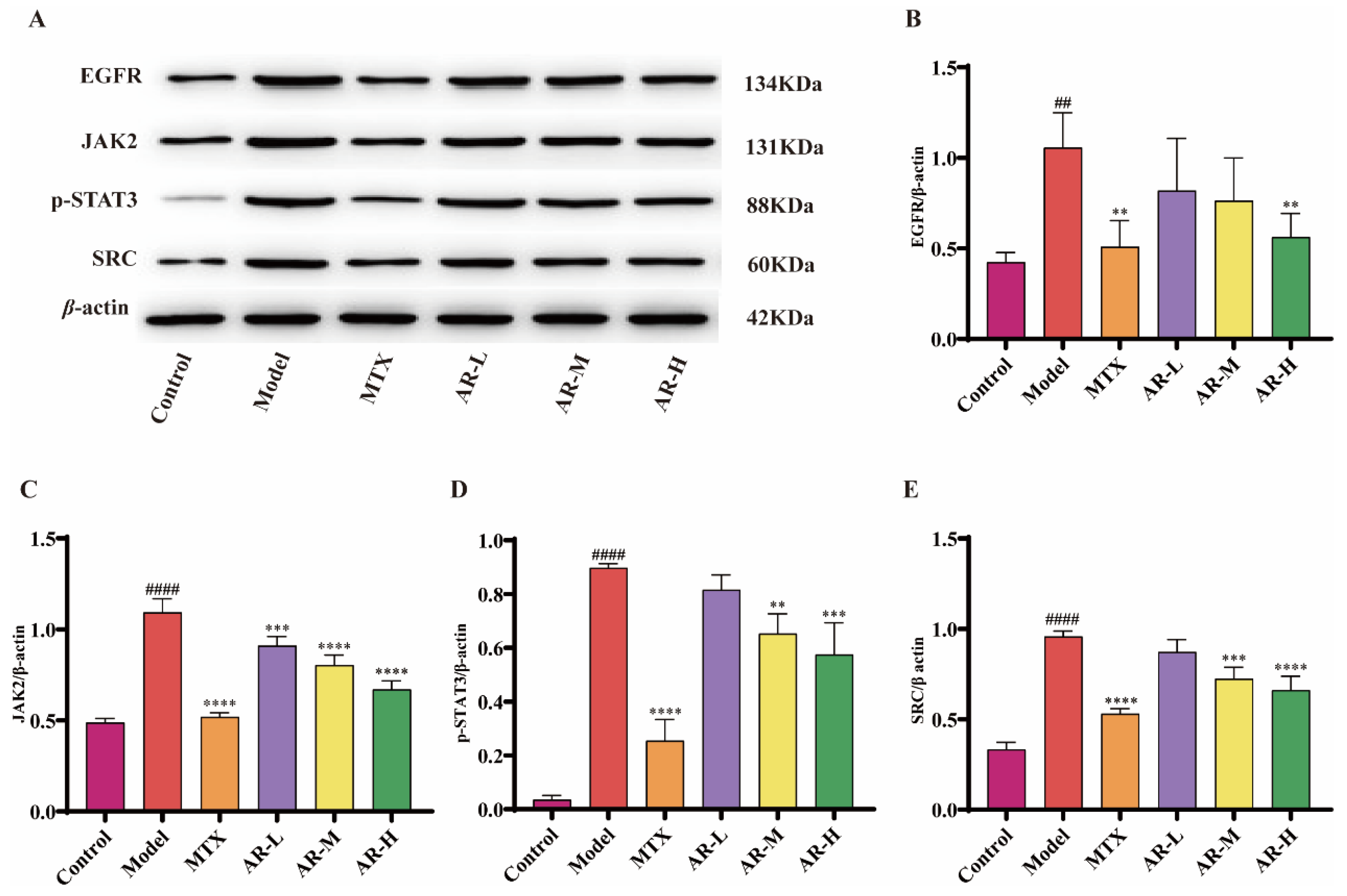 Pharmaceuticals 19 00262 g010
