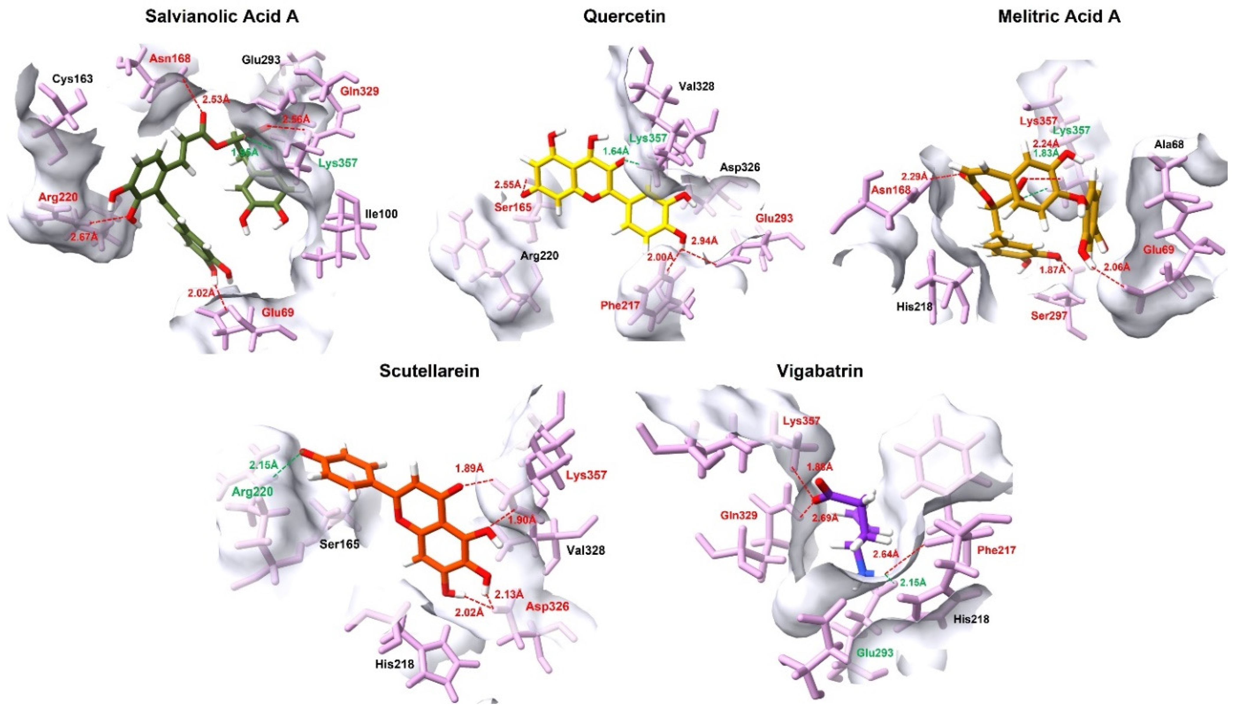 Pharmaceuticals 19 00307 g003