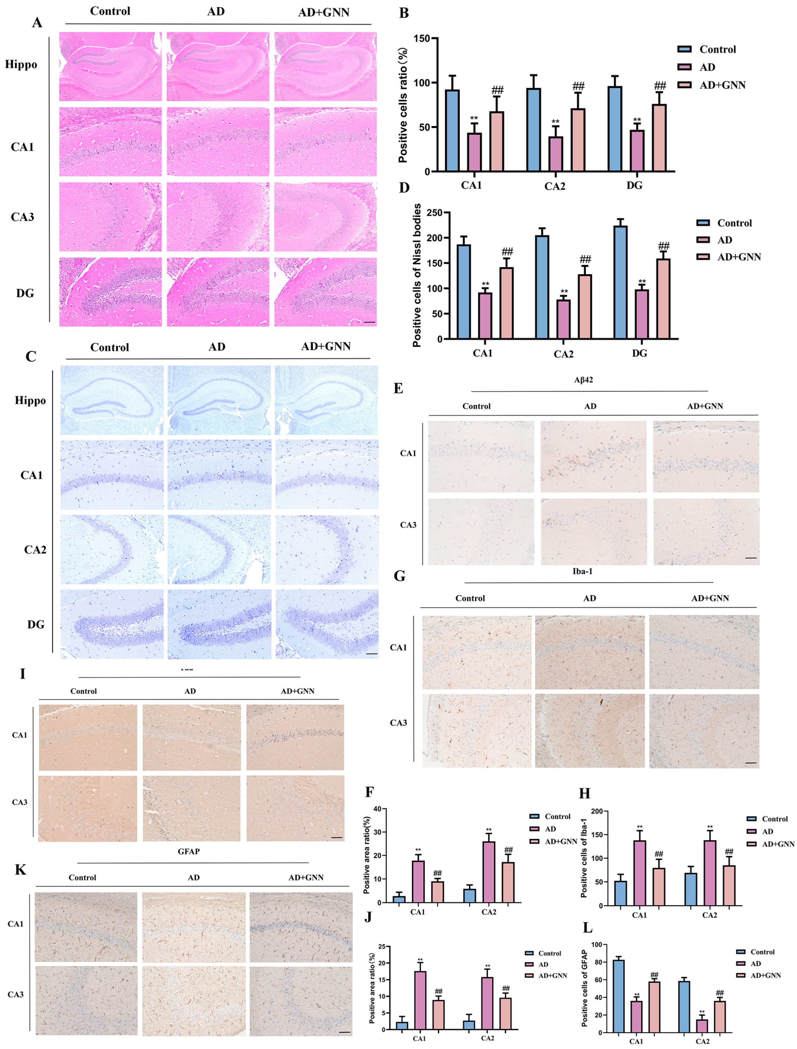 Pharmaceuticals 19 00367 g004