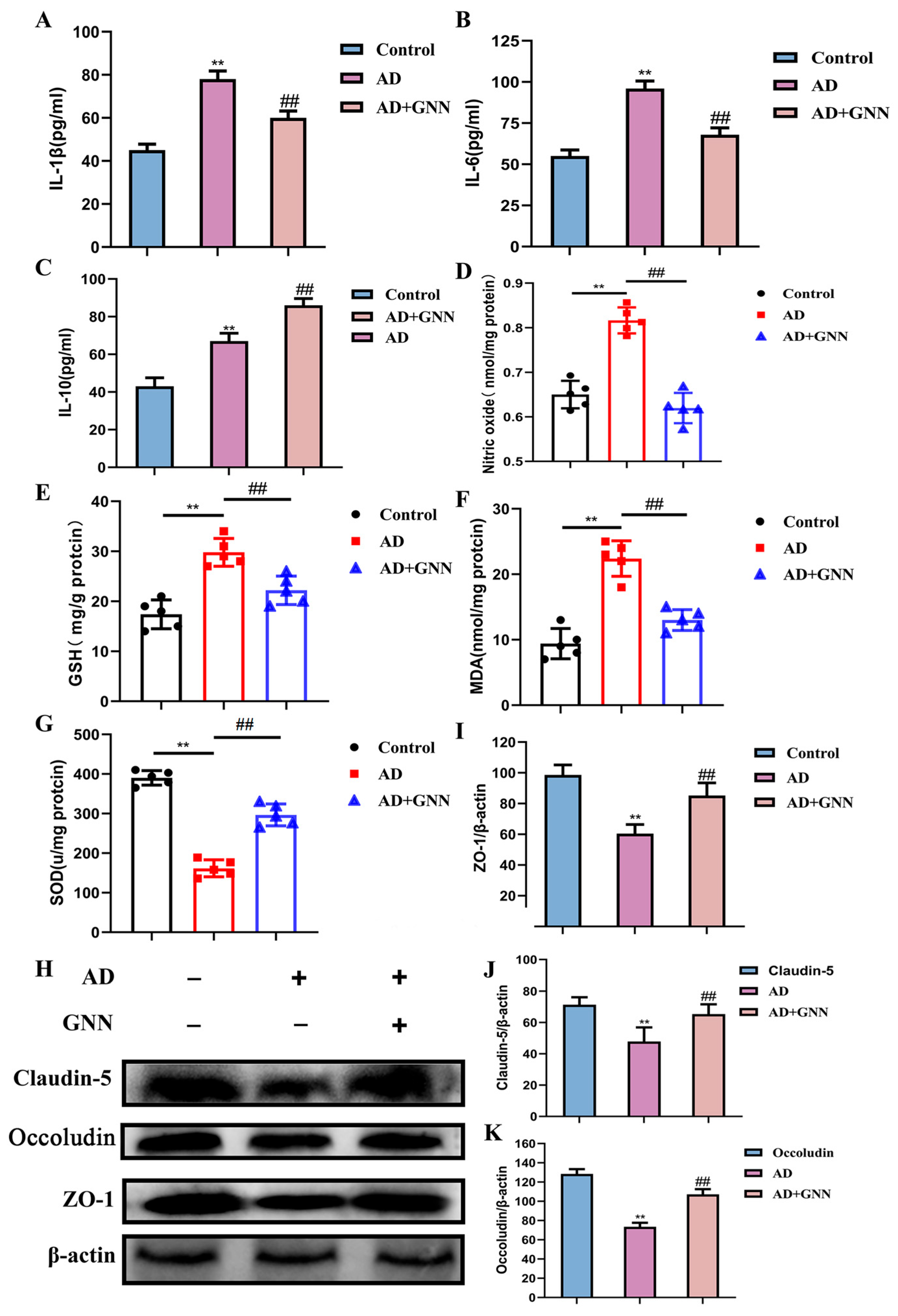 Pharmaceuticals 19 00367 g005