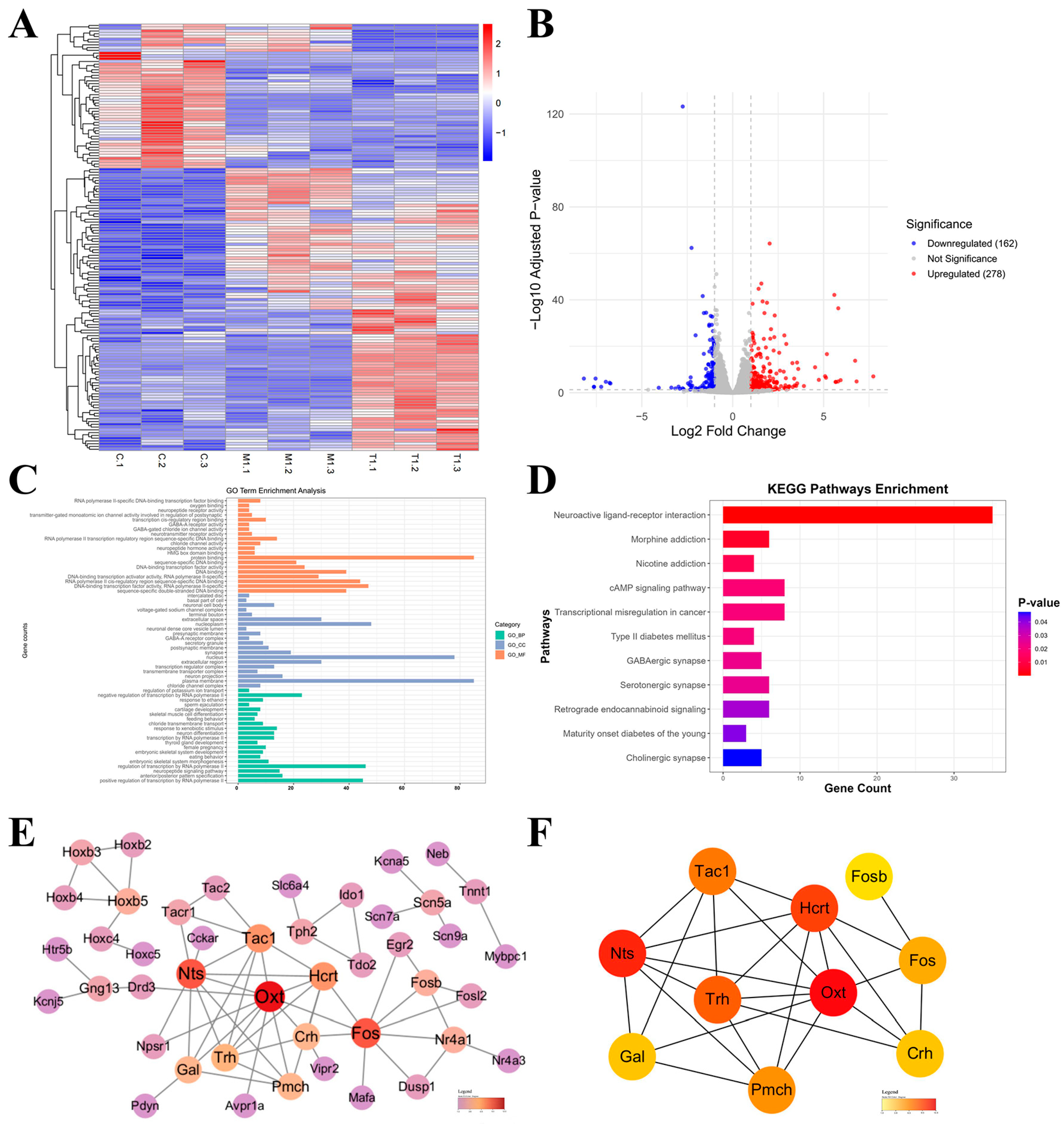 Pharmaceuticals 19 00367 g006