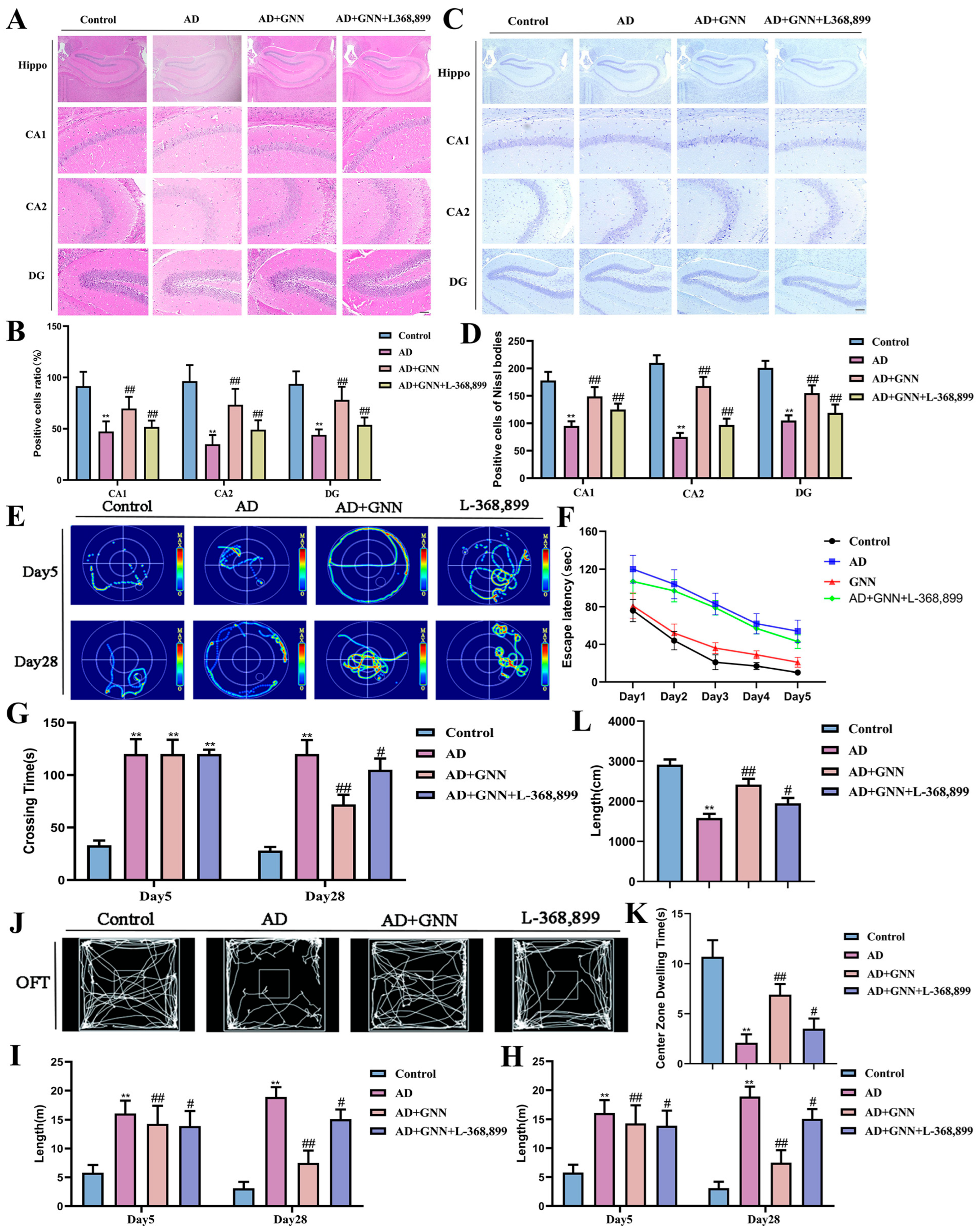 Pharmaceuticals 19 00367 g007