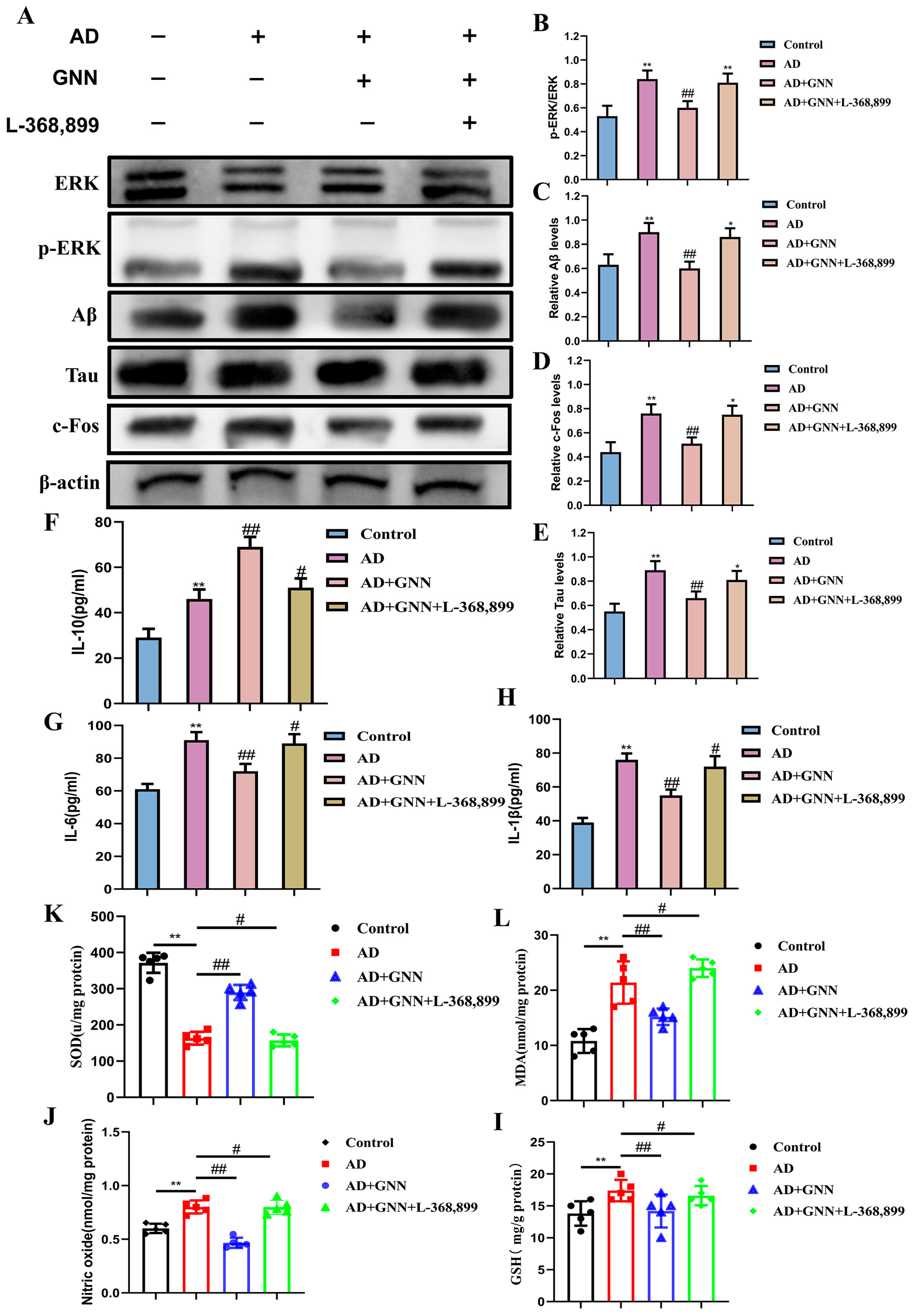 Pharmaceuticals 19 00367 g008