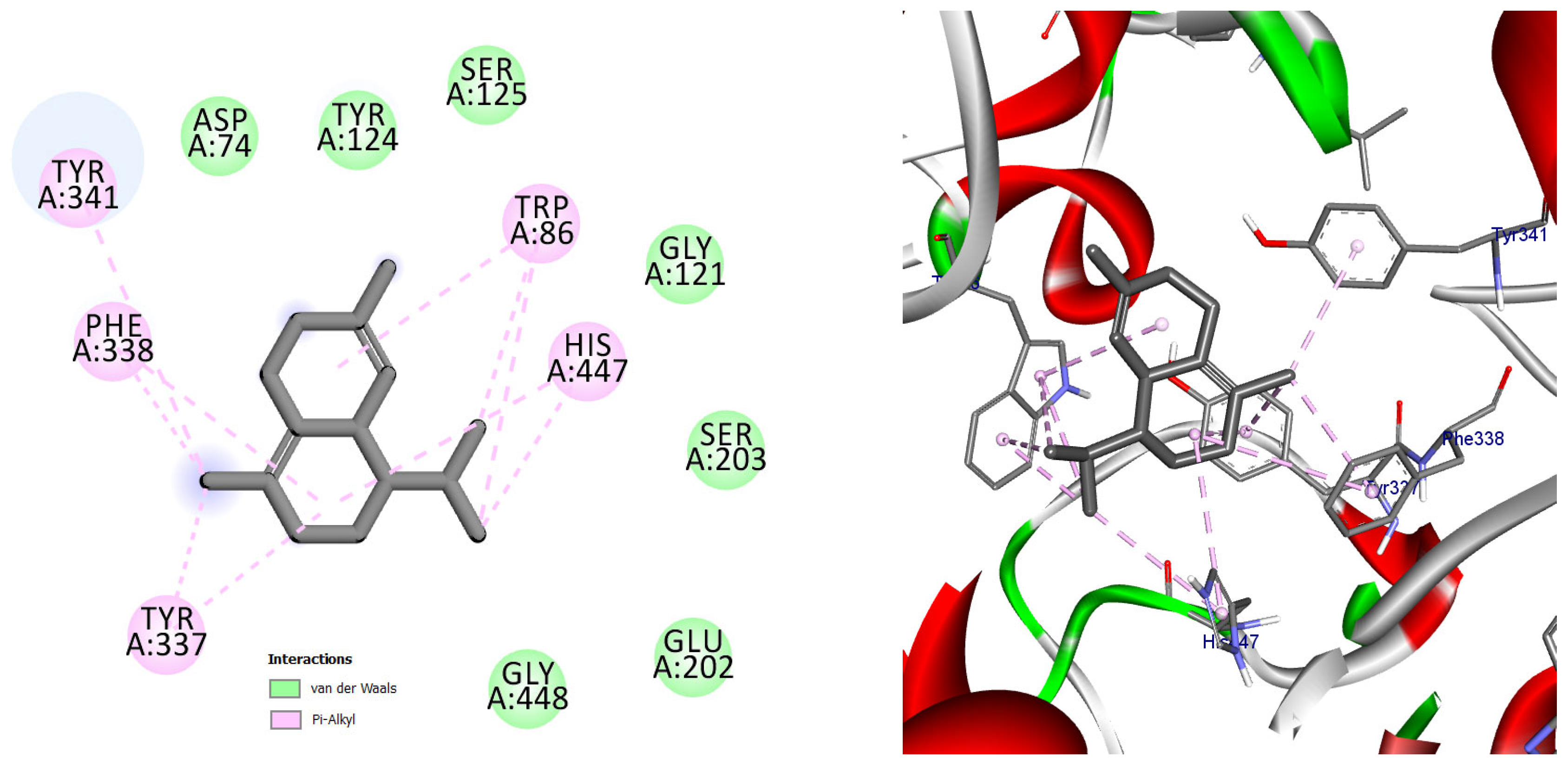 Pharmaceuticals 19 00458 g010