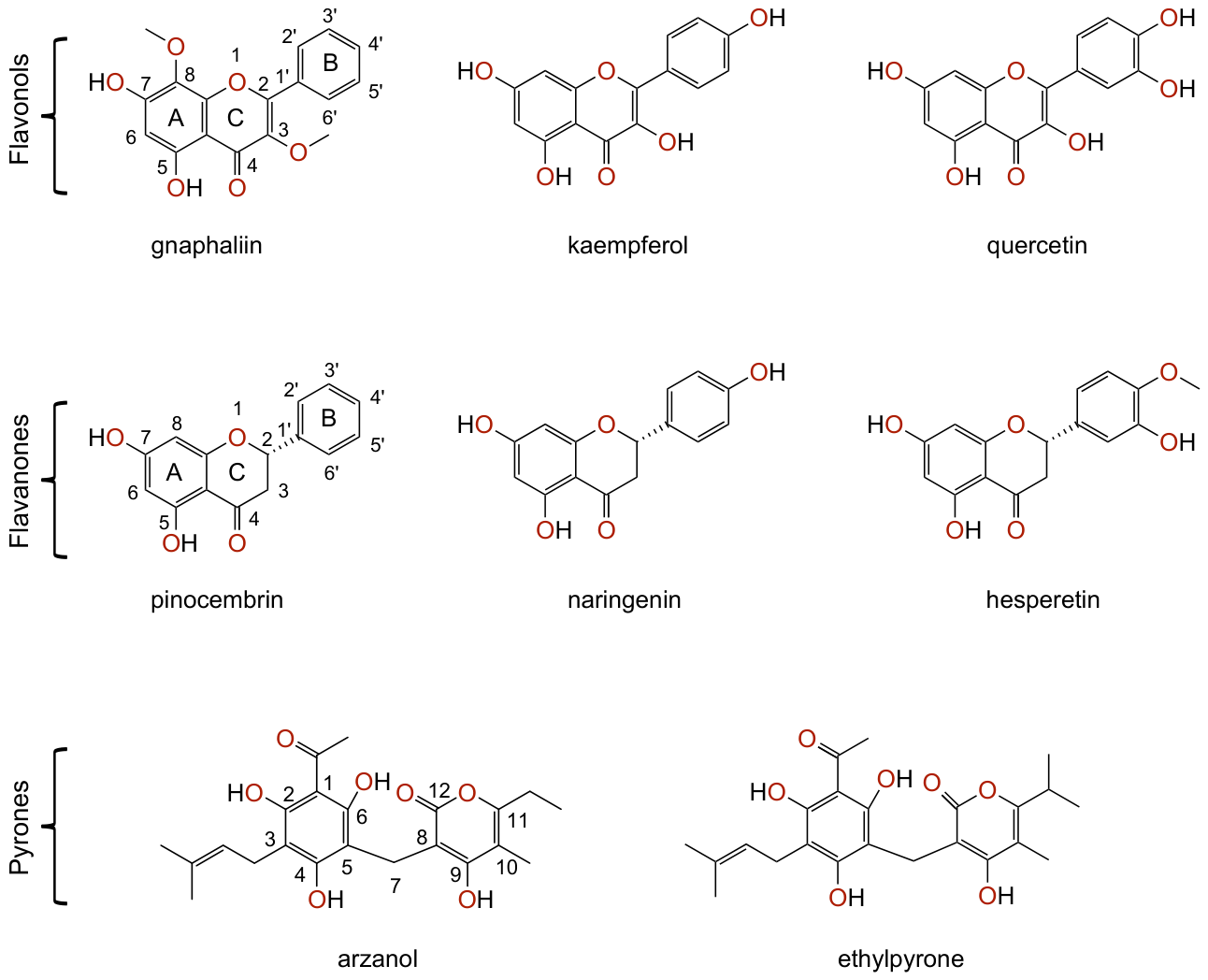 Pharmaceuticals 19 00647 g001