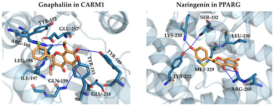 Pharmaceuticals 19 00647 g004