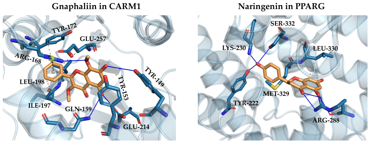 Pharmaceuticals 19 00647 g004
