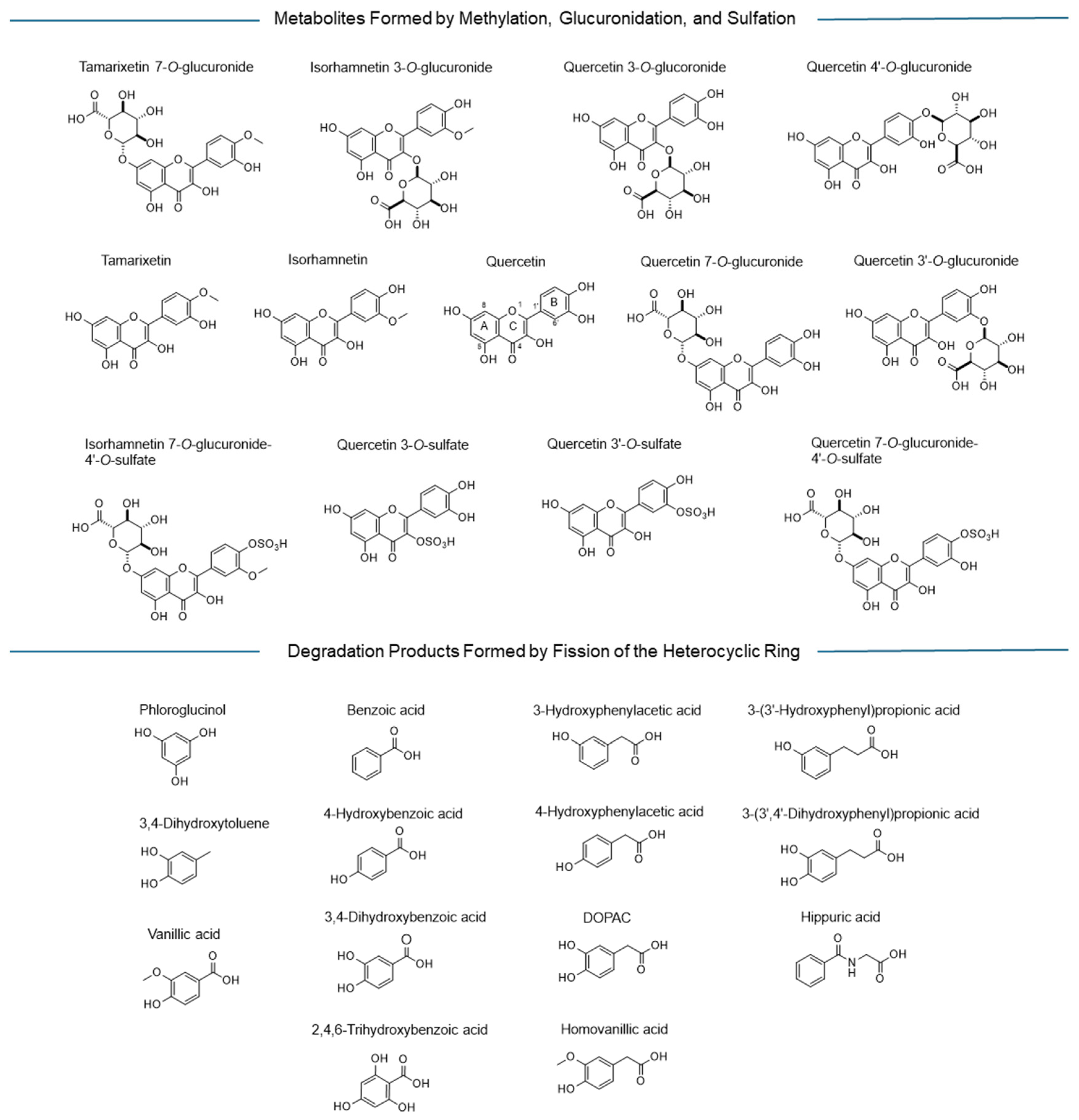 Pharmaceuticals 19 00655 g003 Pharmaceuticals 19 00655 g003