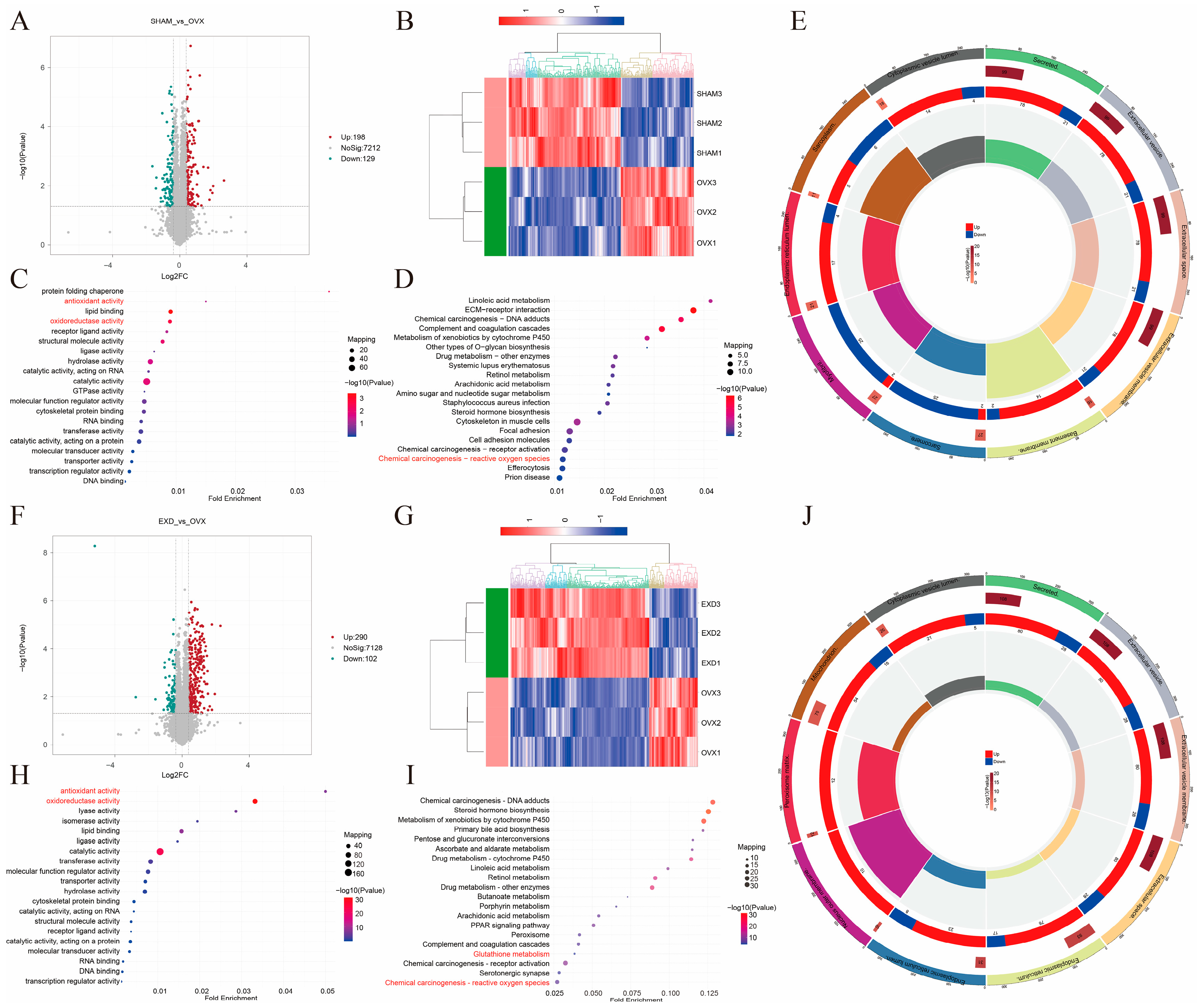Integrated Network Pharmacology and Proteomics Reveal That Erxian ...