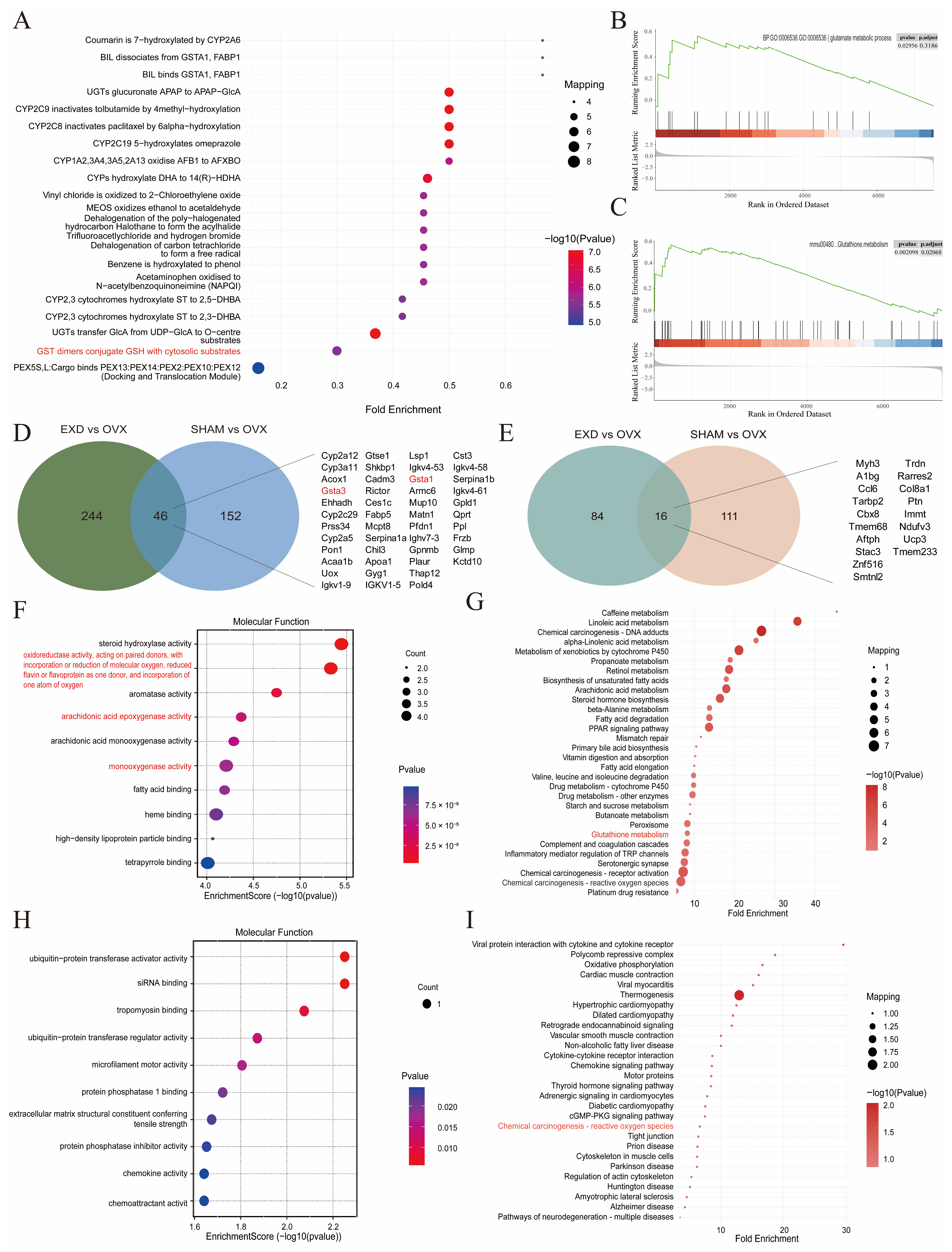 Integrated Network Pharmacology and Proteomics Reveal That Erxian ...