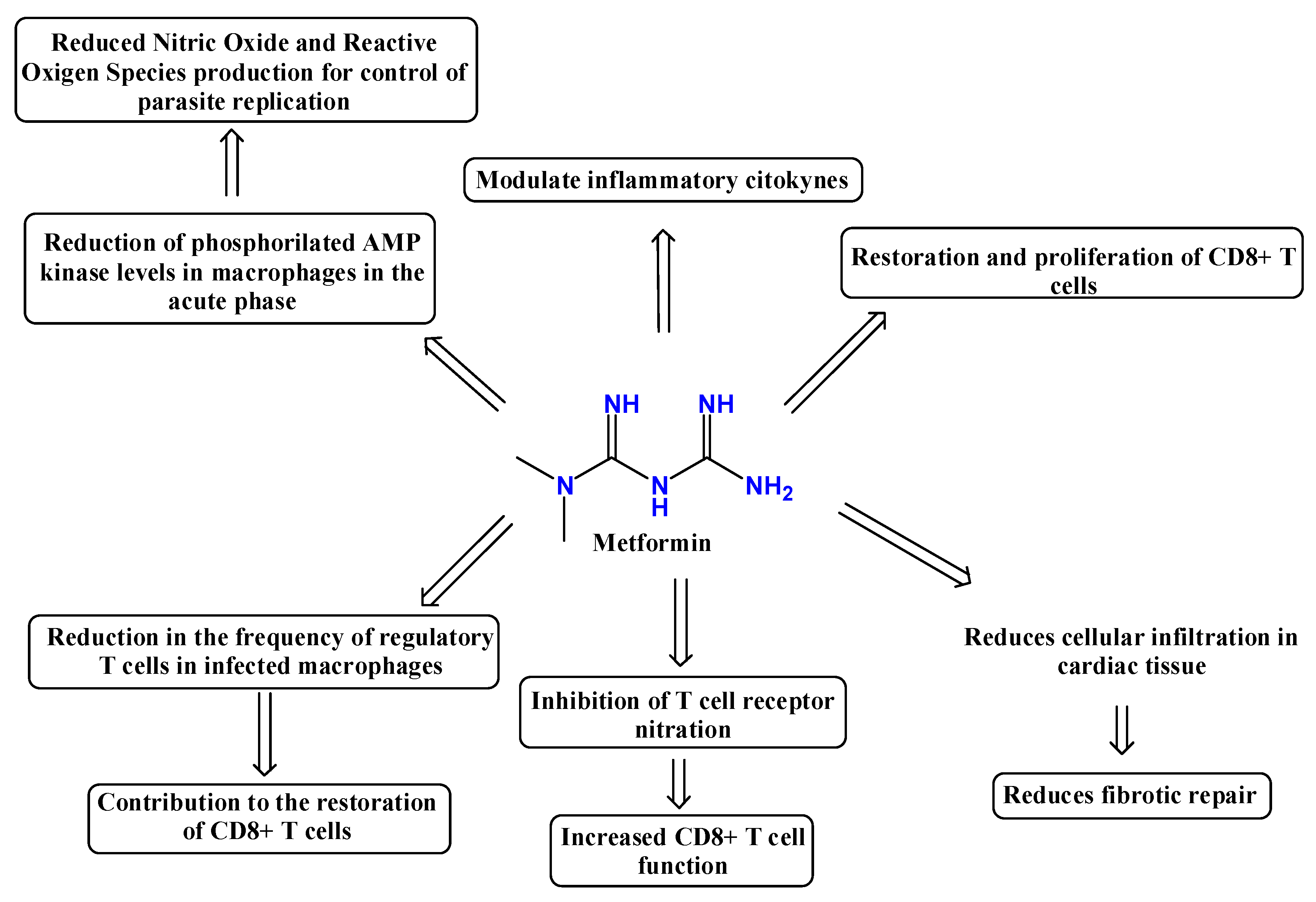 Pharmaceuticals 19 00784 g009