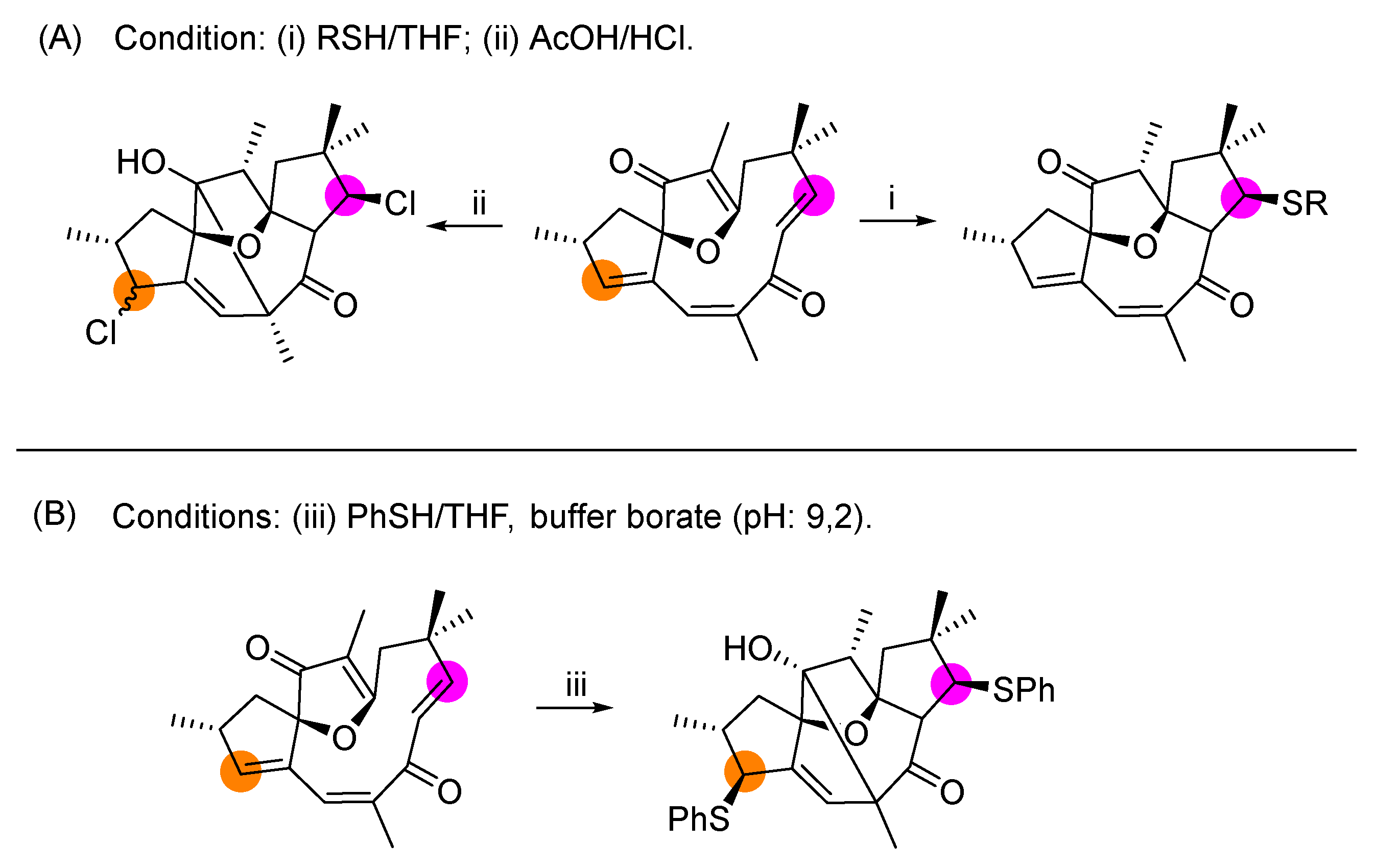 Pharmaceuticals 19 00801 sch001 Pharmaceuticals 19 00801 sch001