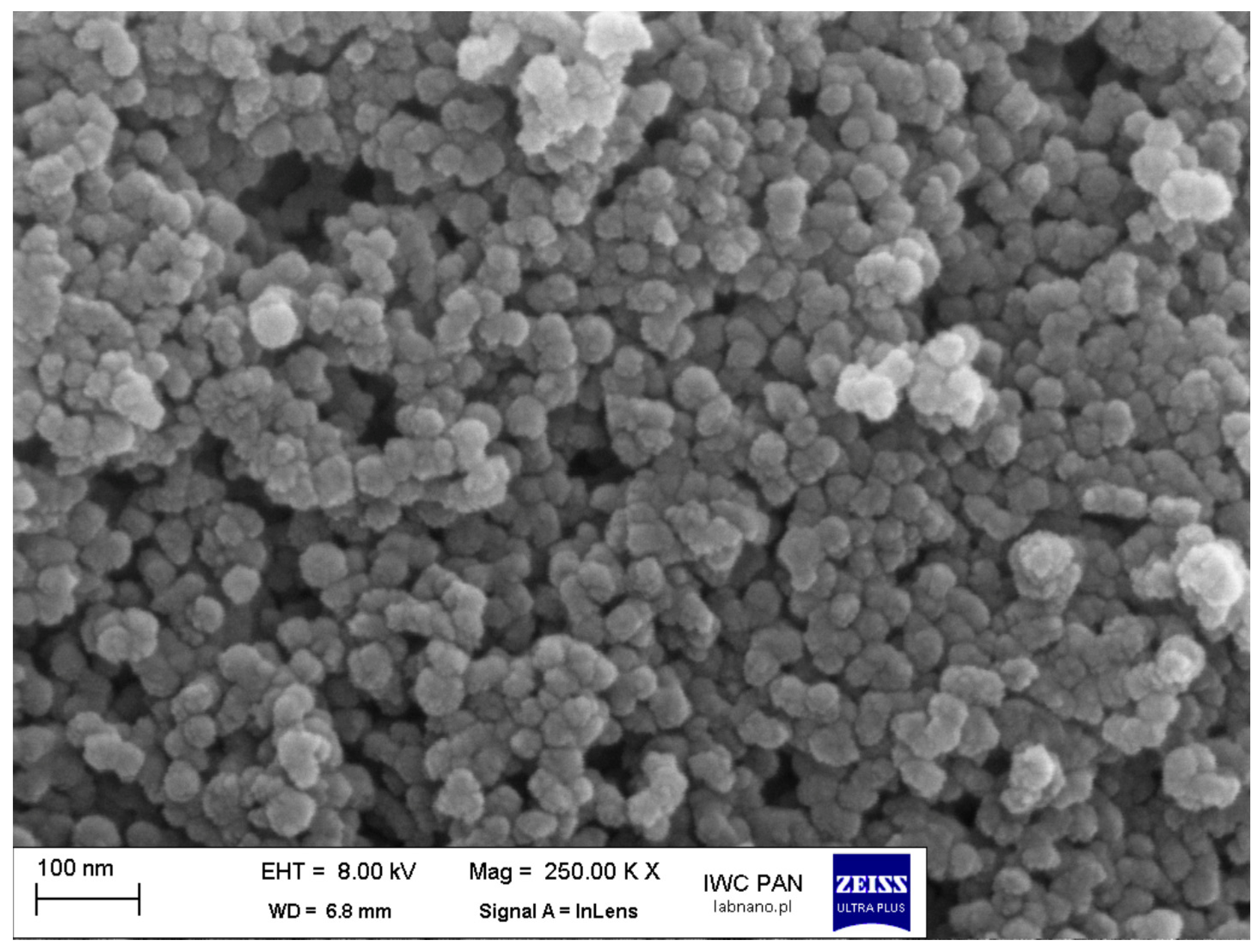 Pharmaceuticals 19 00802 g002 Pharmaceuticals 19 00802 g002