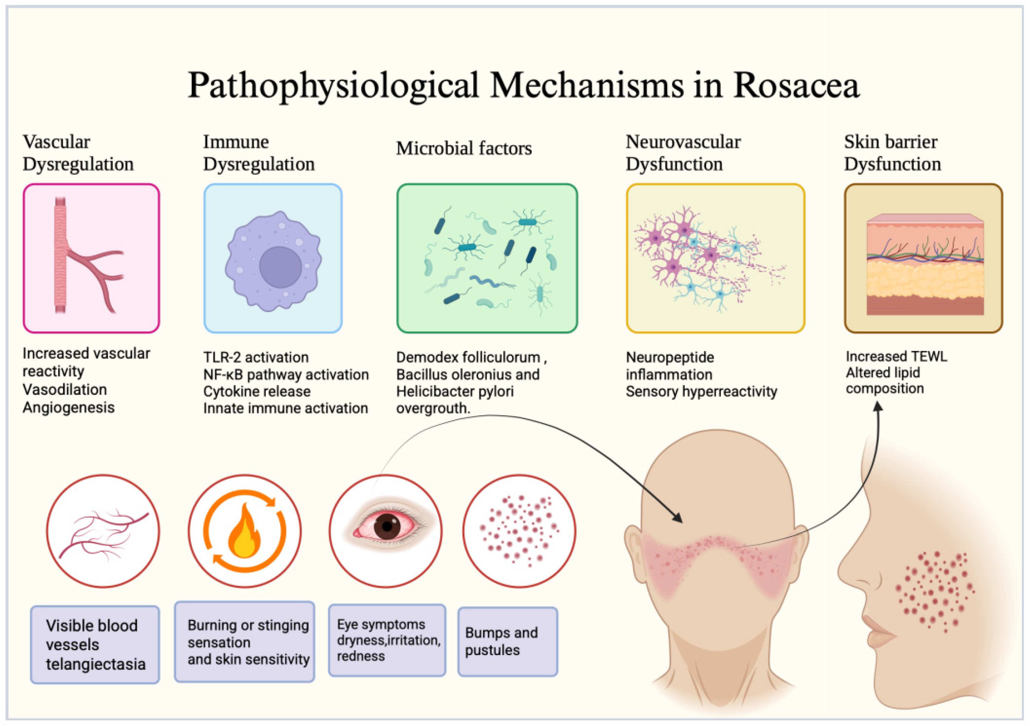 Pharmaceuticals 19 00982 g001