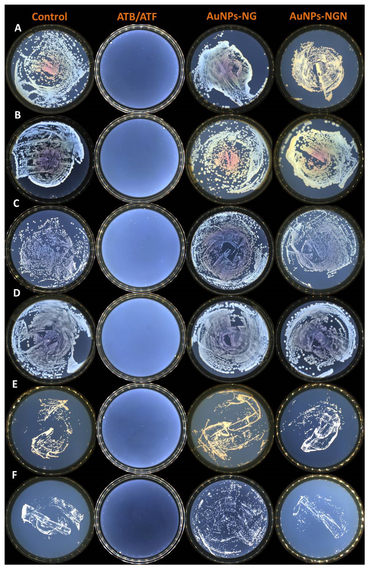 Pharmaceuticals 19 01242 g014 Pharmaceuticals 19 01242 g014