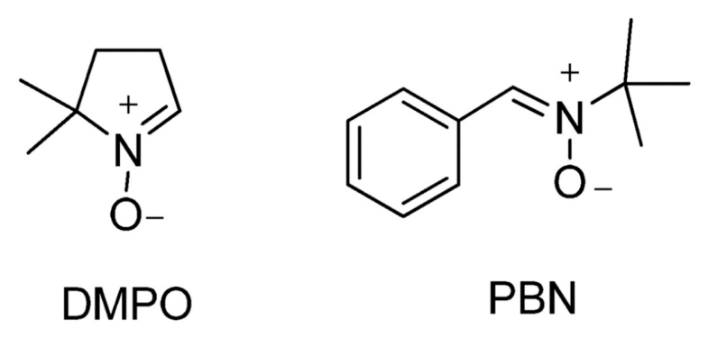 Pharmaceuticals 19 01424 g003 Pharmaceuticals 19 01424 g003