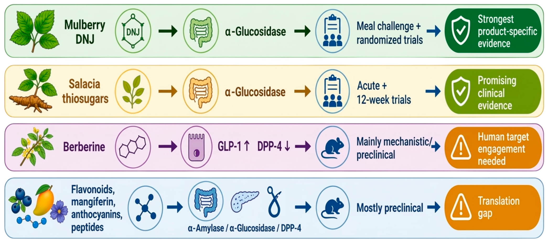 Pharmaceuticals 19 01546 g002 Pharmaceuticals 19 01546 g002
