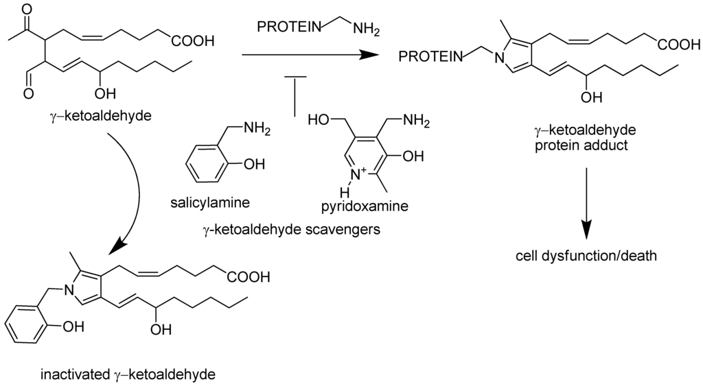 Pharmaceutics 02 00018 g001 1024