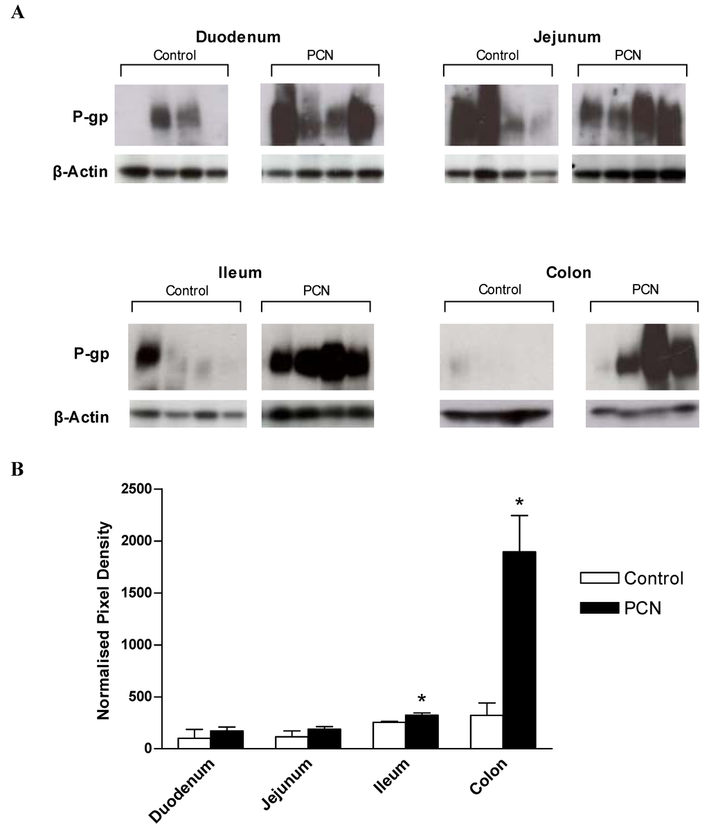 Pharmaceutics 02 00061 g005 1024