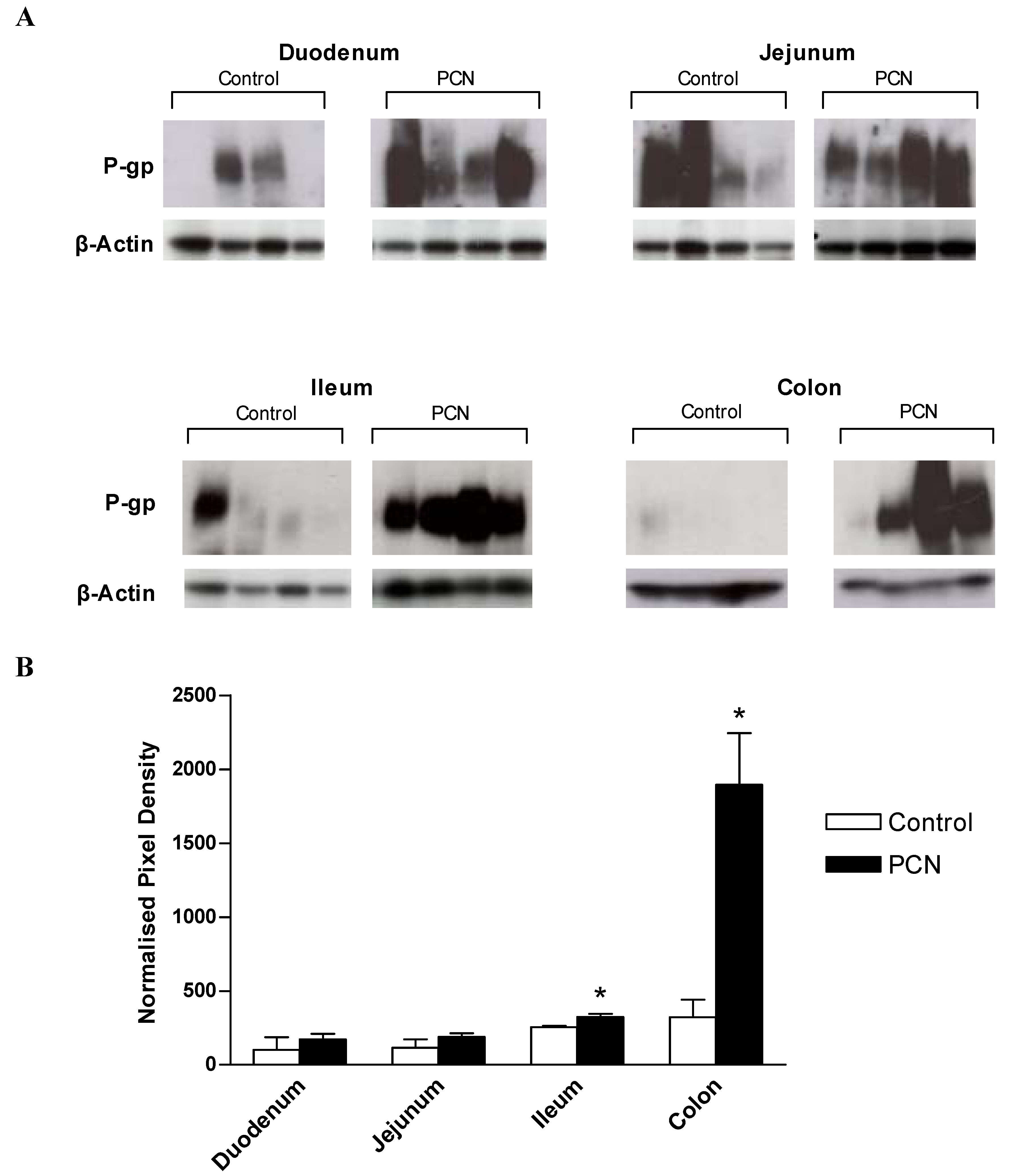Pharmaceutics 02 00061 g005