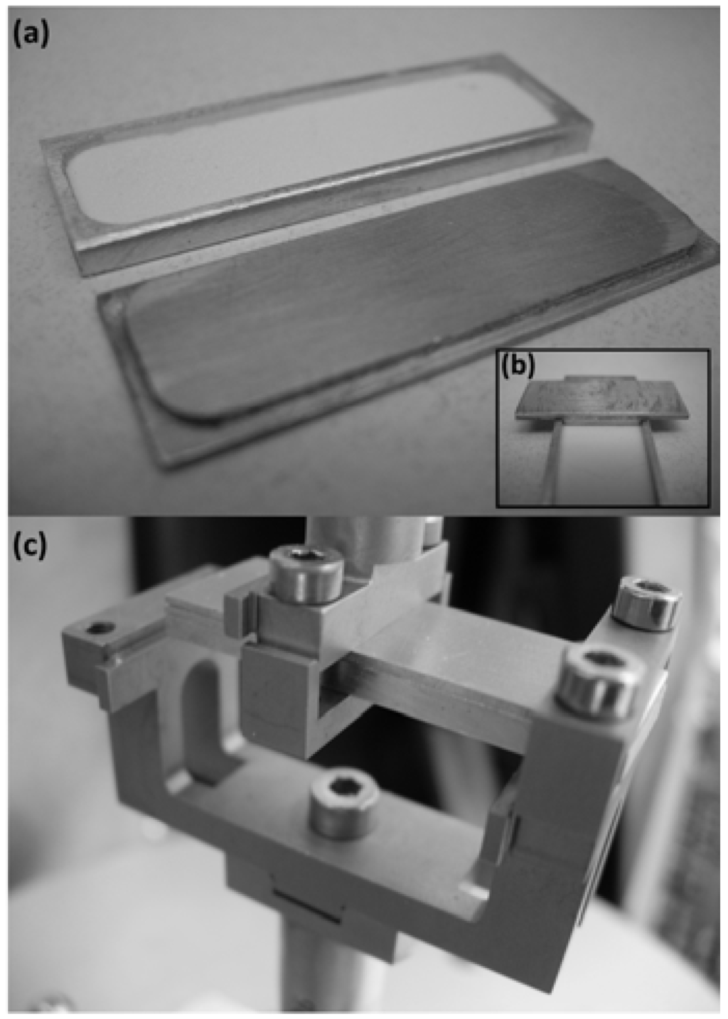 Pharmaceutics 02 00078 g001 1024