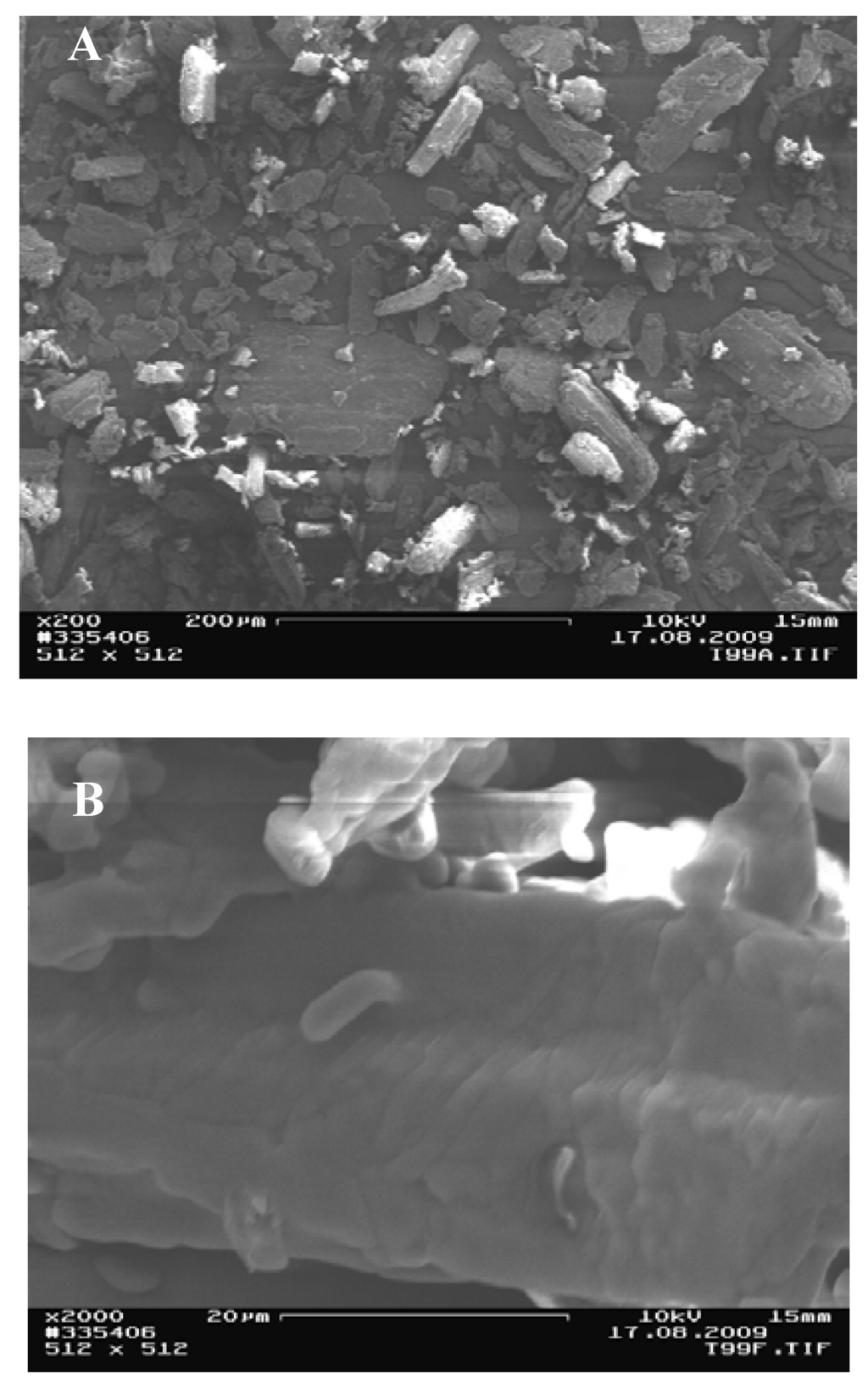 Pharmaceutics 02 00275 g006 1024