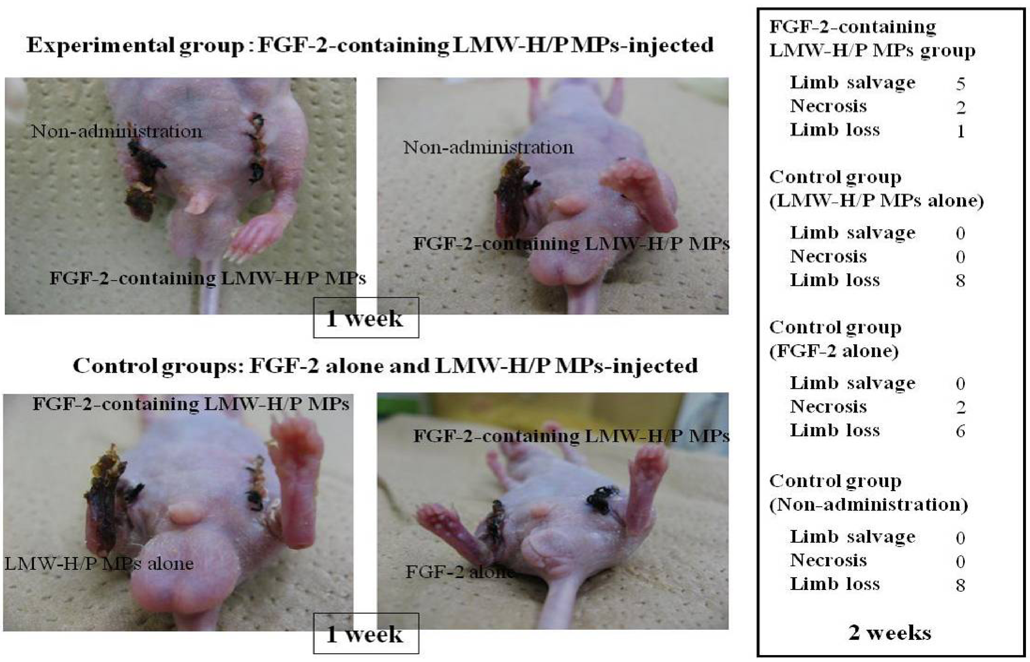 Pharmaceutics 04 00042 g002
