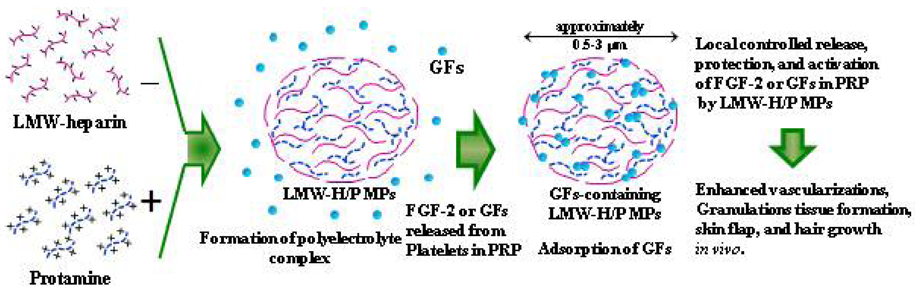 Pharmaceutics 04 00042 g003