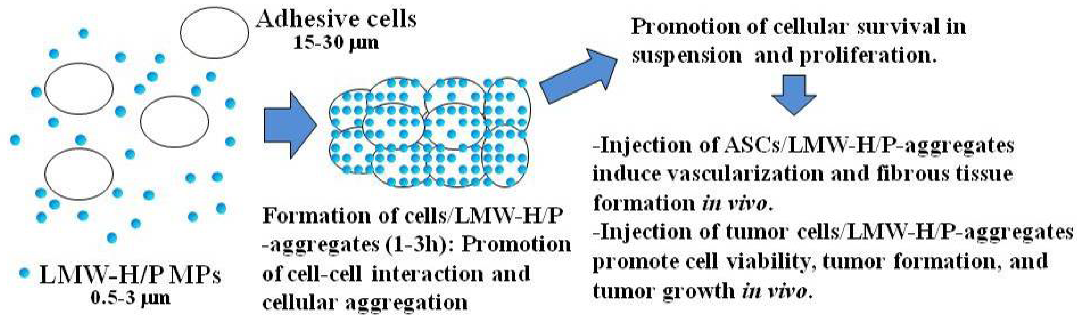 Pharmaceutics 04 00042 g005
