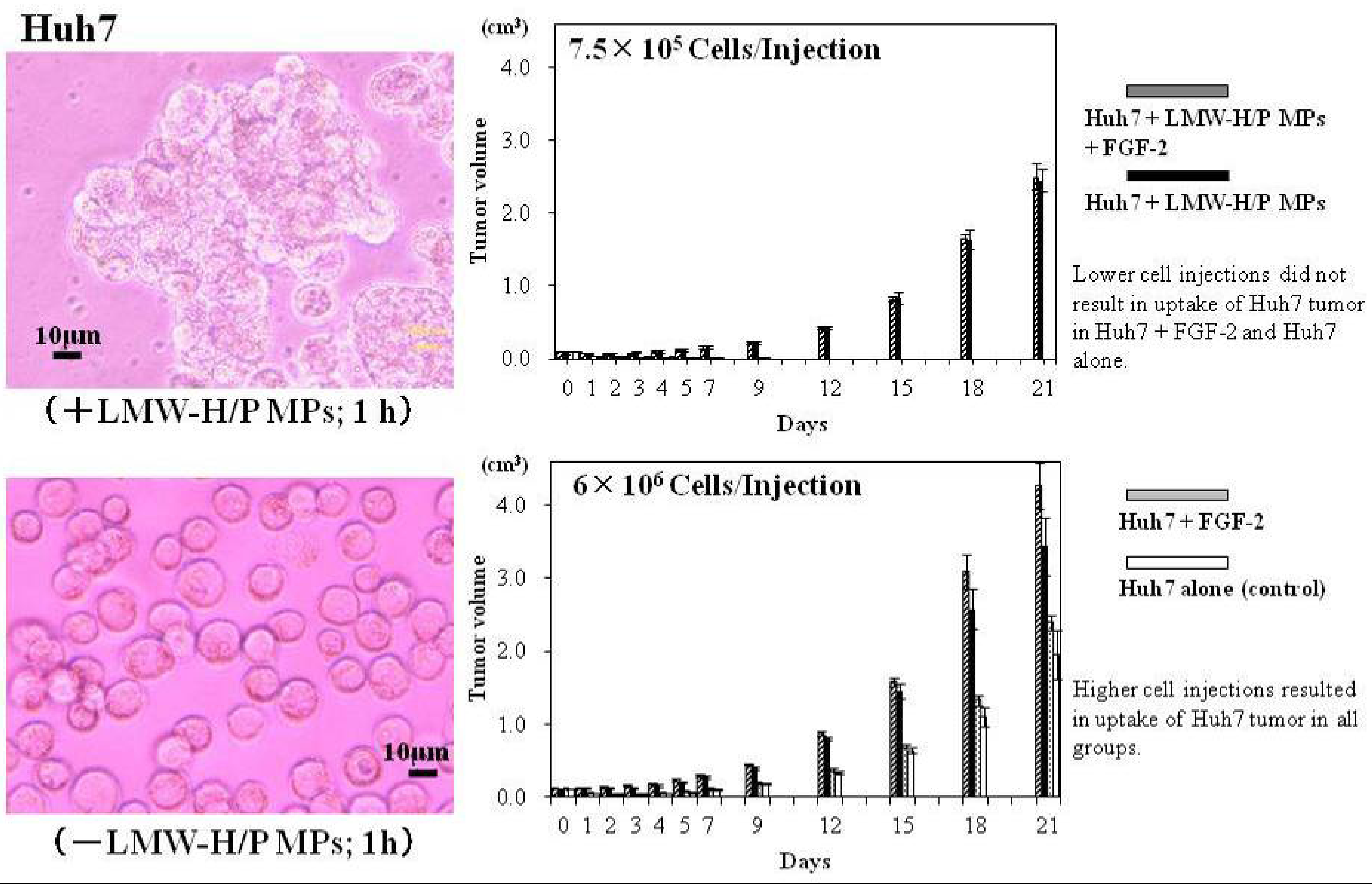 Pharmaceutics 04 00042 g006