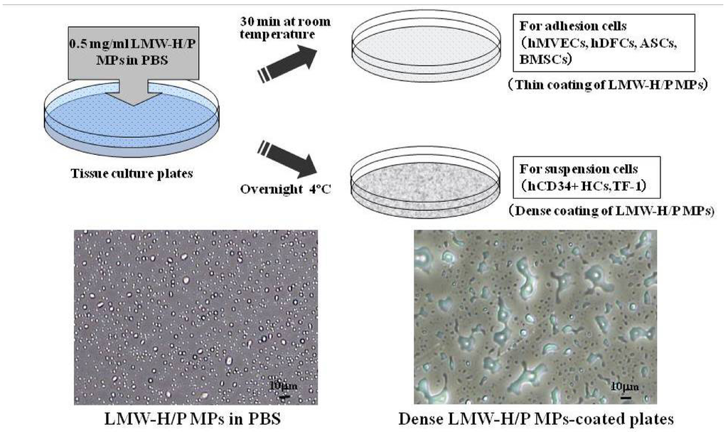 Pharmaceutics 04 00042 g007 1024