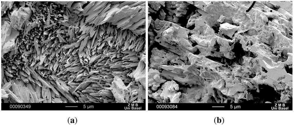 Pharmaceutics 04 00058 g008 1024
