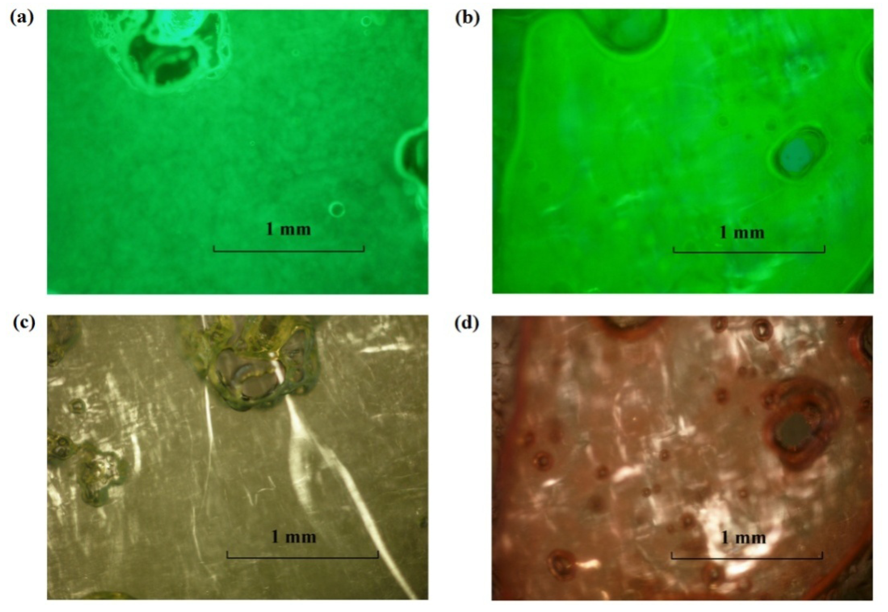 Pharmaceutics 04 00104 g005