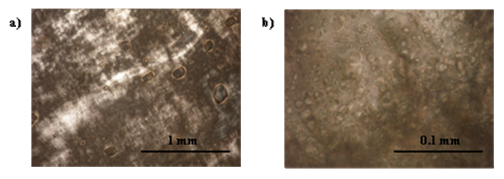 Pharmaceutics 04 00104 g009 1024